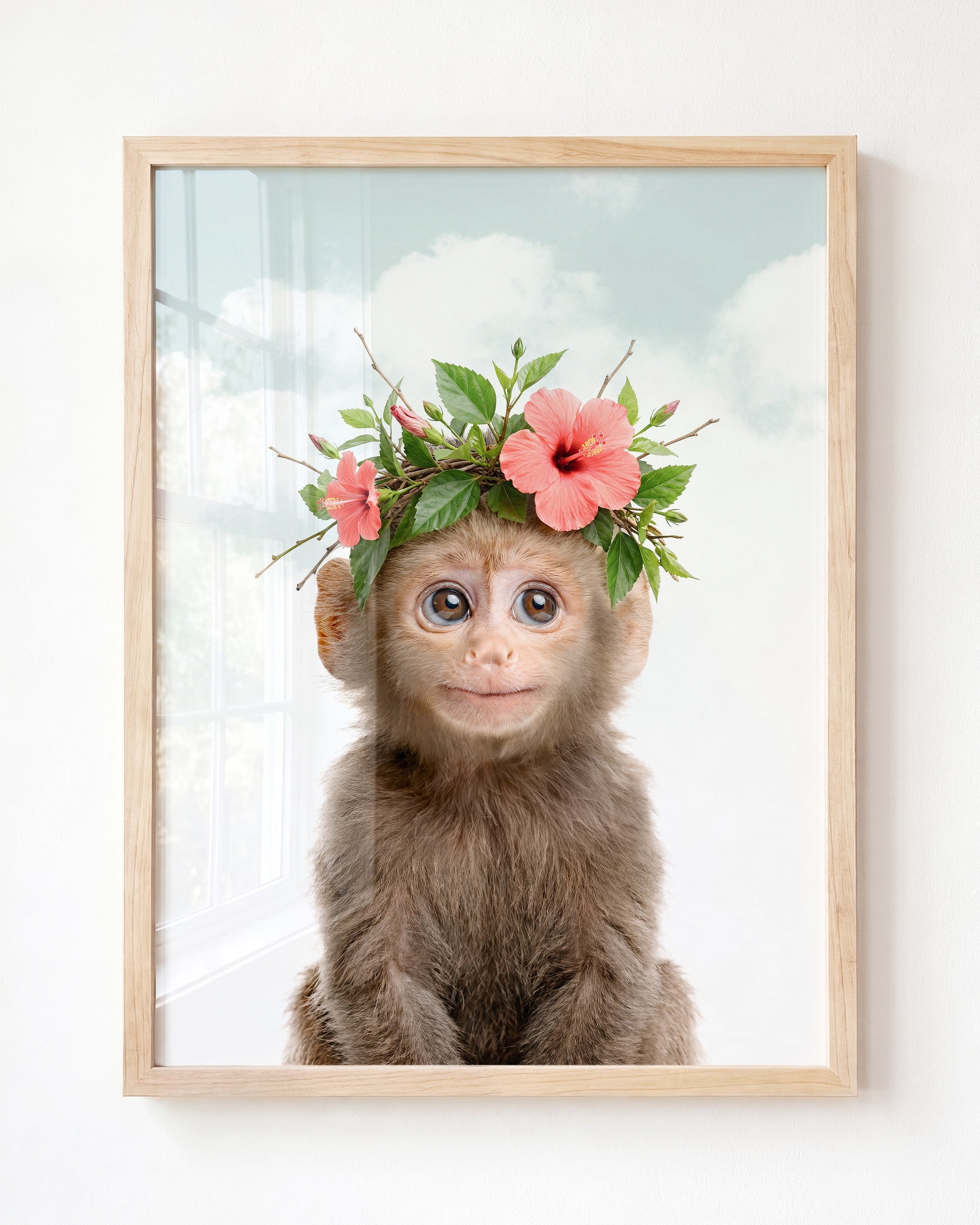 Baby Monkey