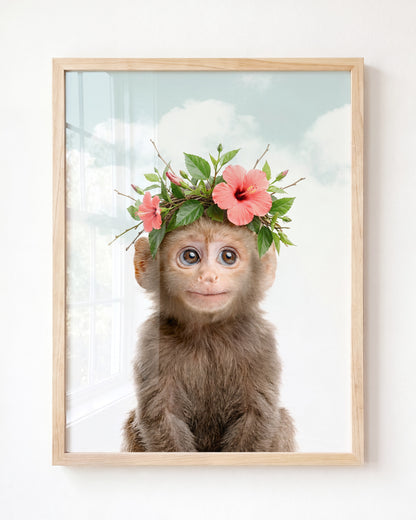 Baby Monkey