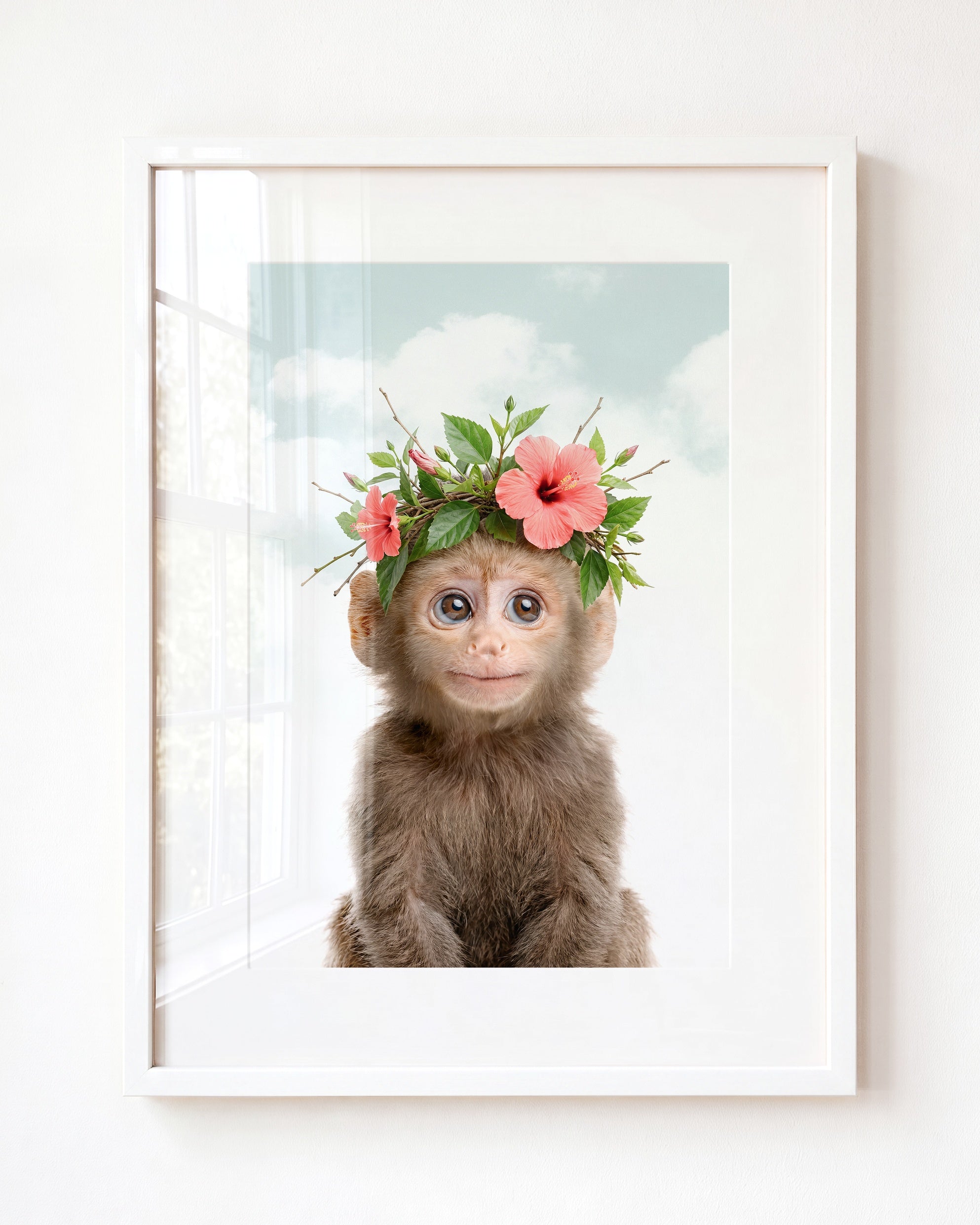 Baby Monkey
