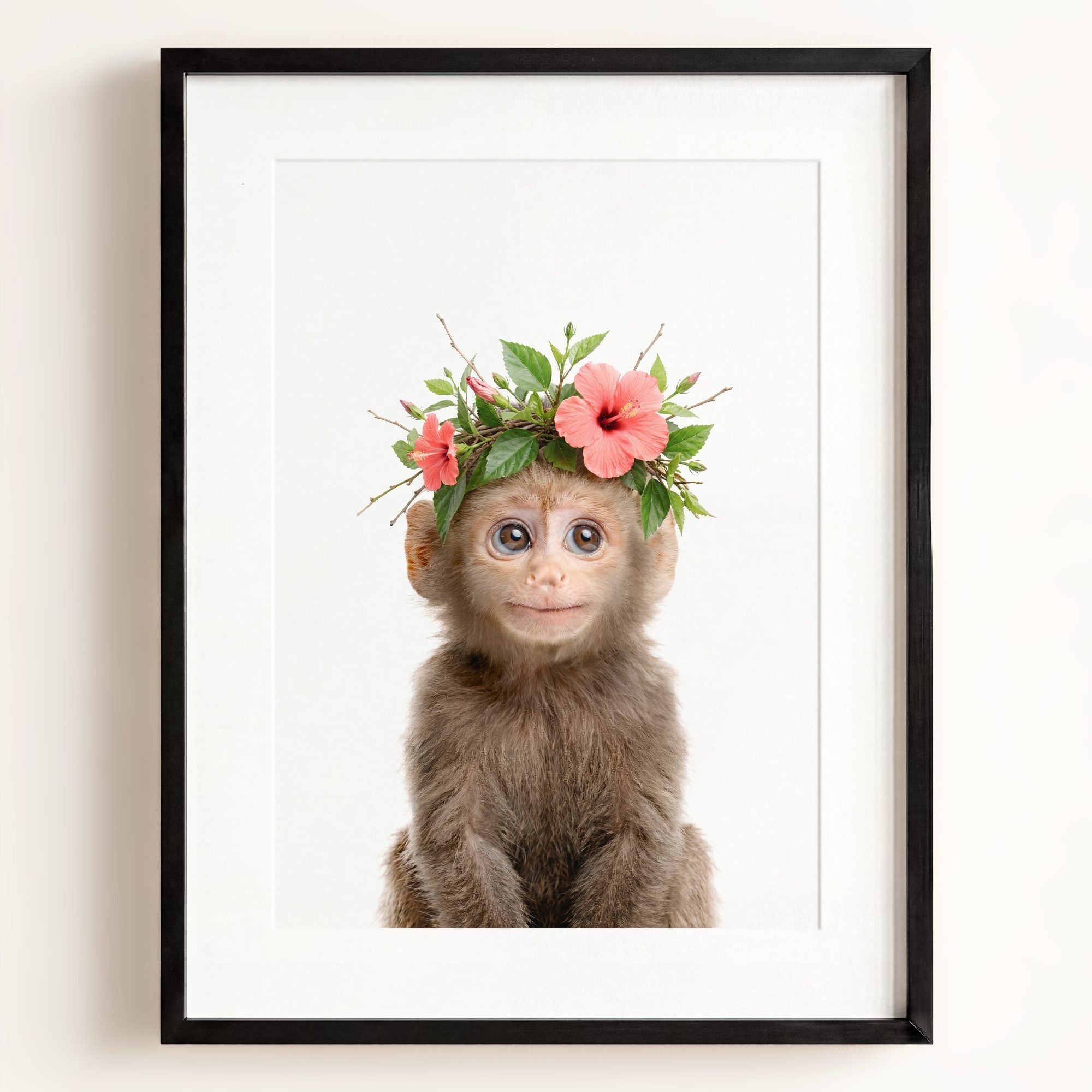 Baby Monkey