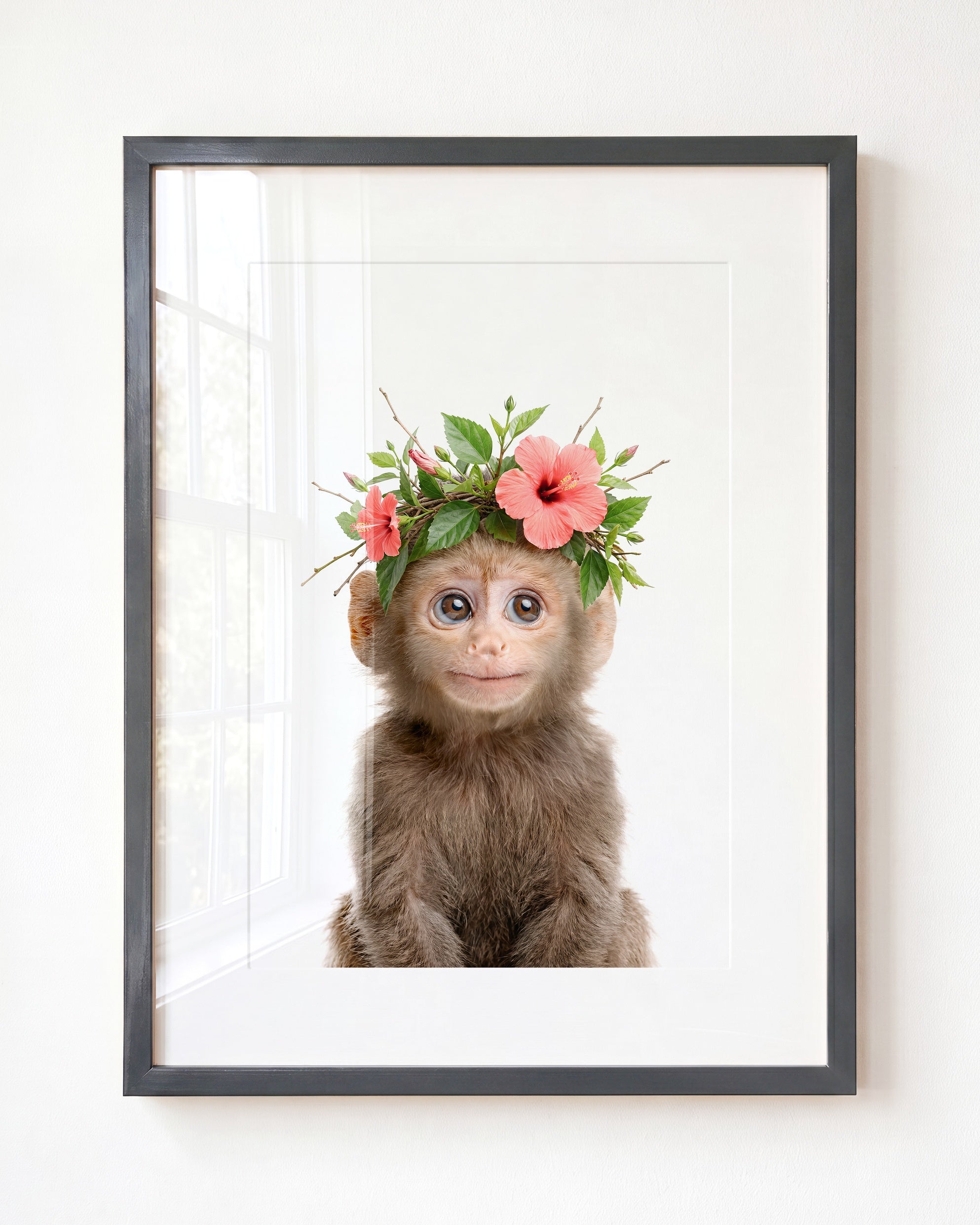 Baby Monkey