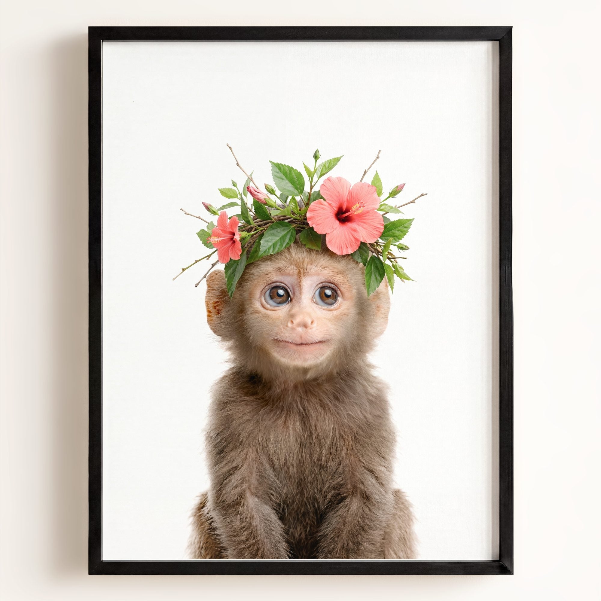 Baby Monkey