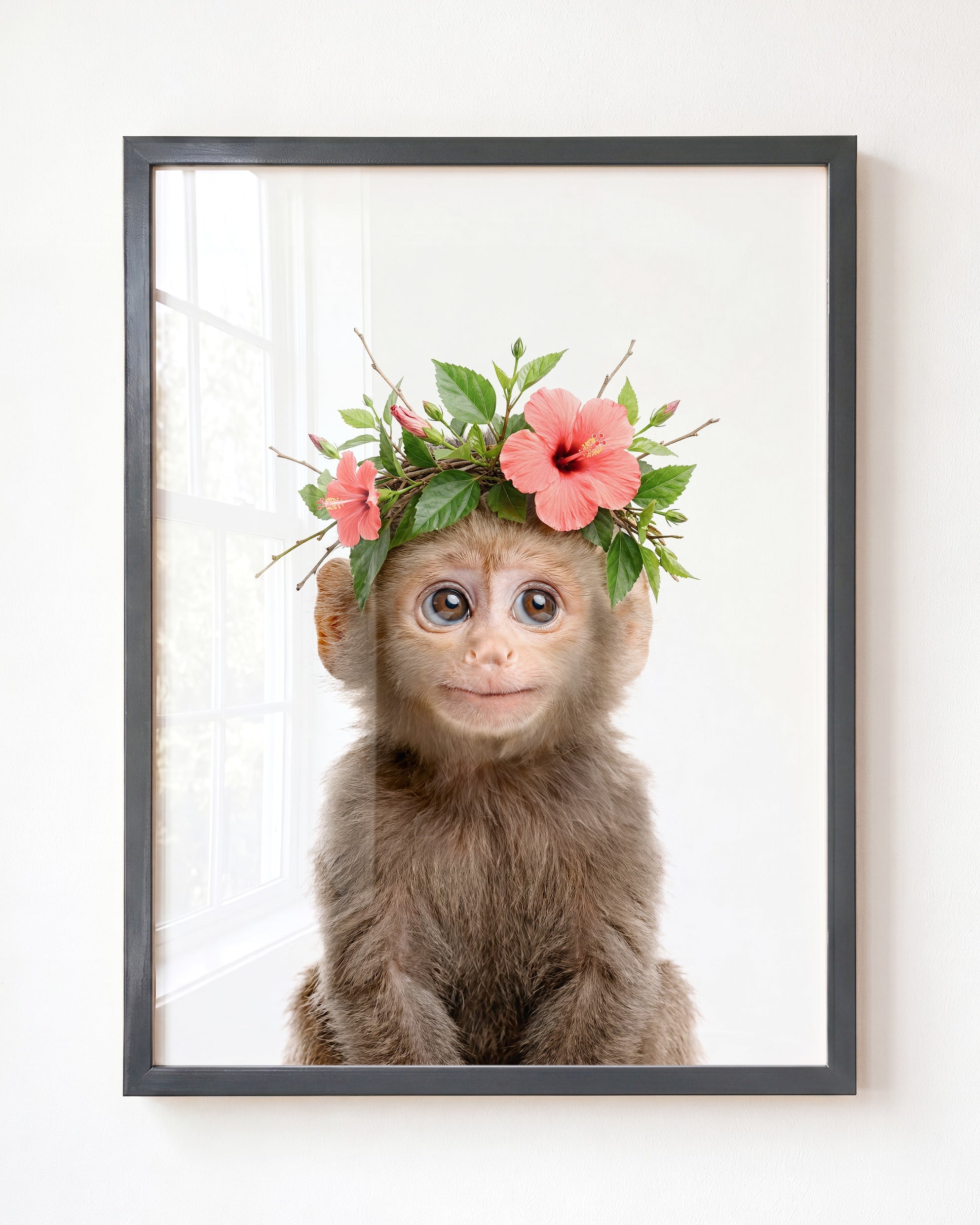 Baby Monkey