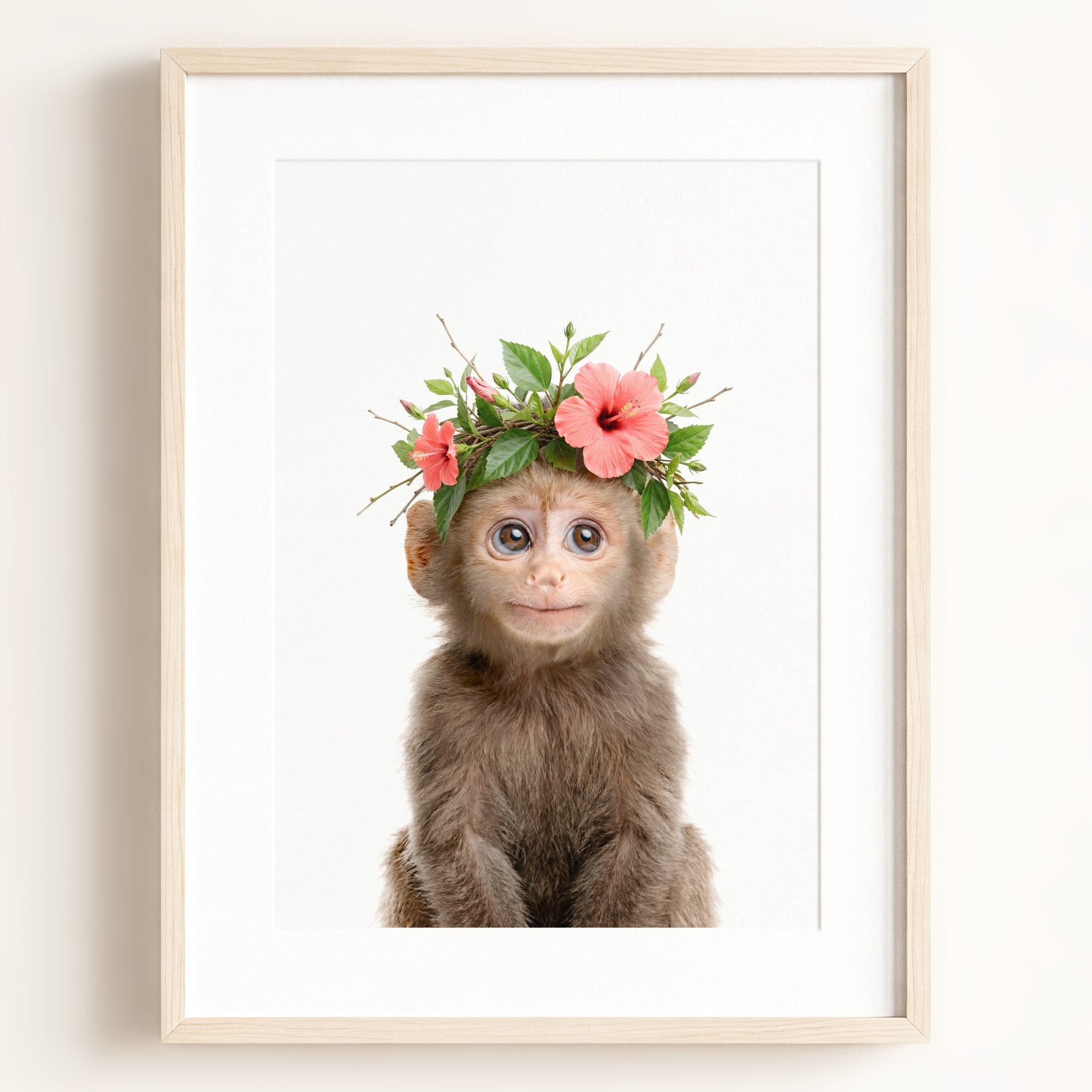 Baby Monkey