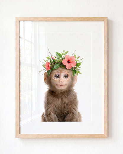 Baby Monkey