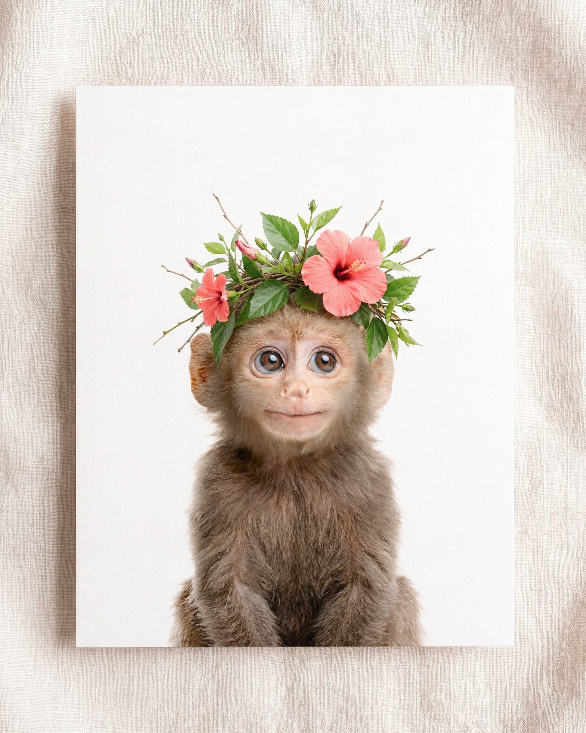 Baby Monkey