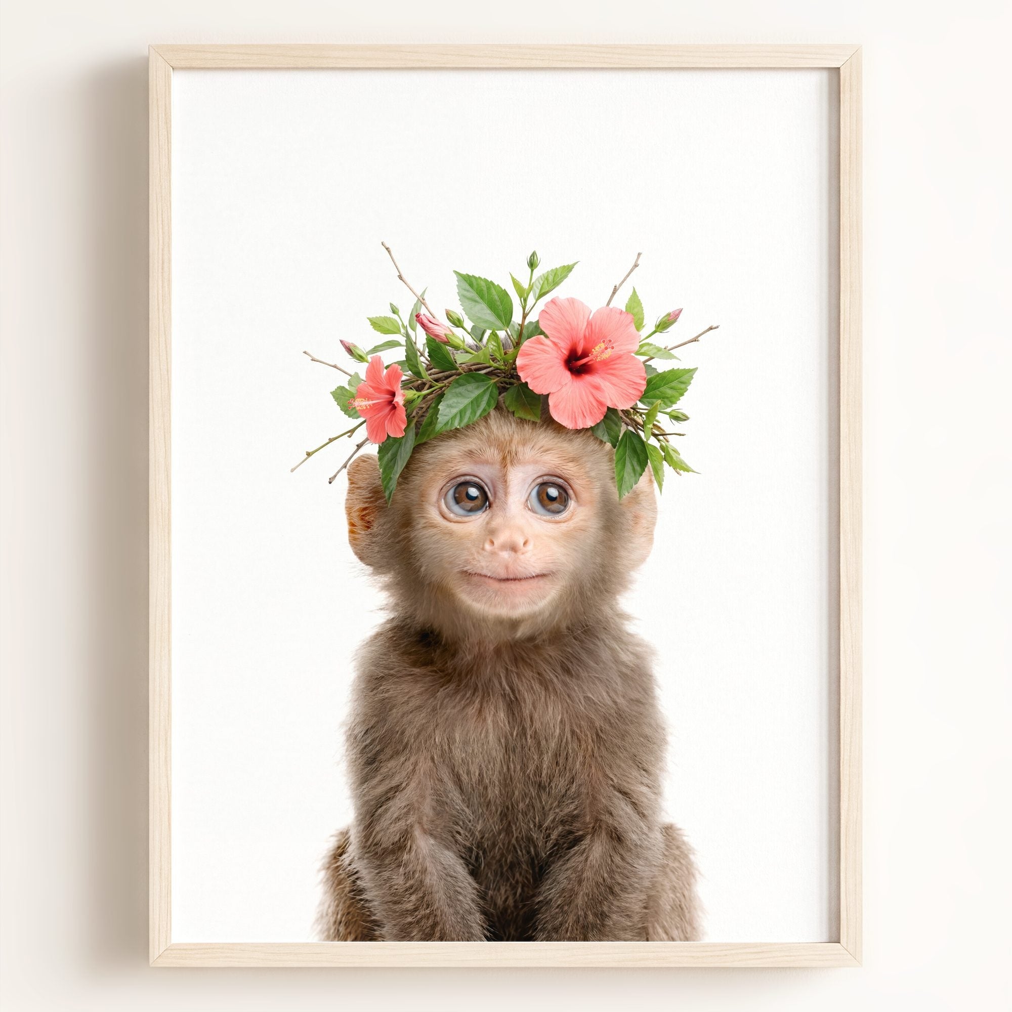 Baby Monkey