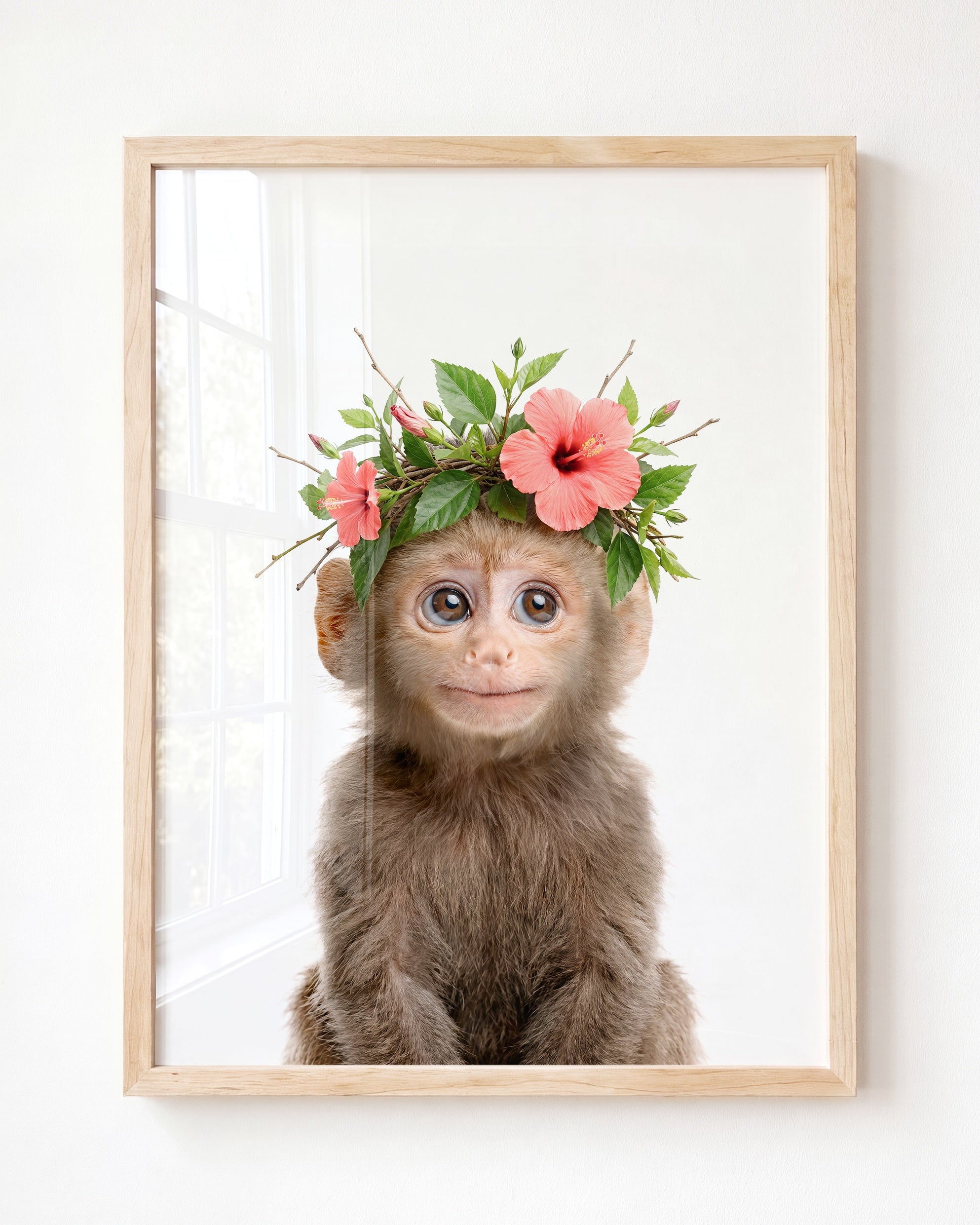 Baby Monkey
