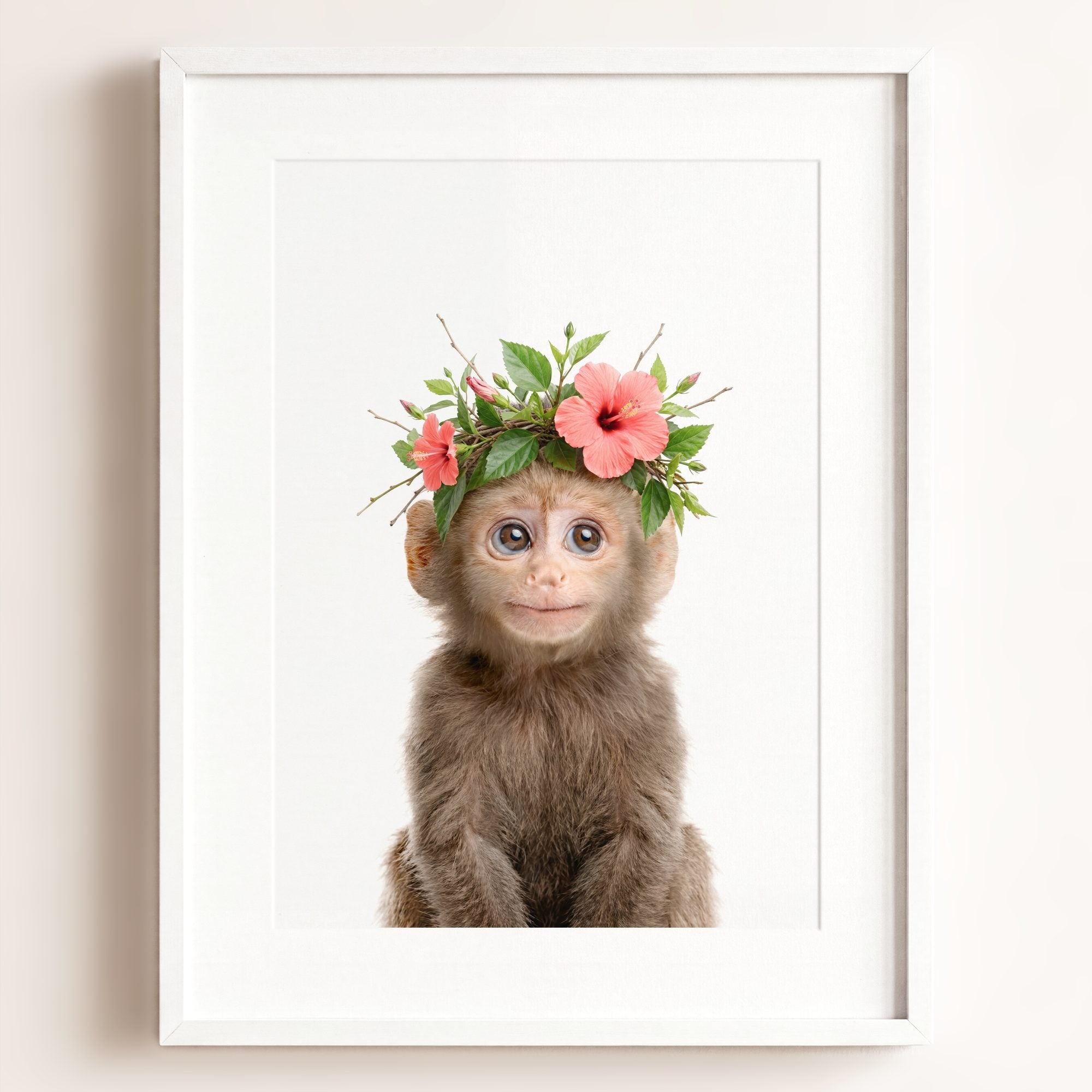 Baby Monkey