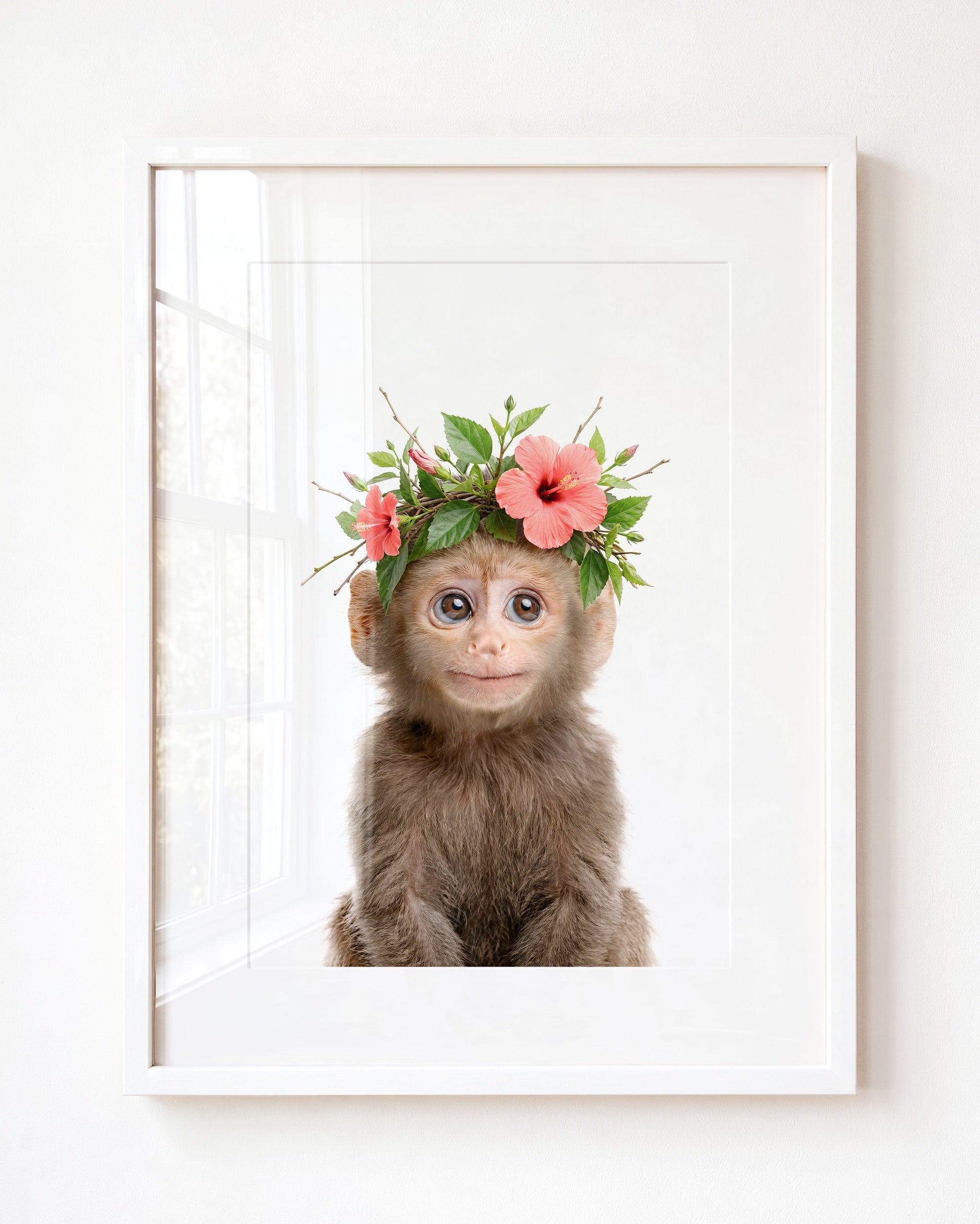 Baby Monkey