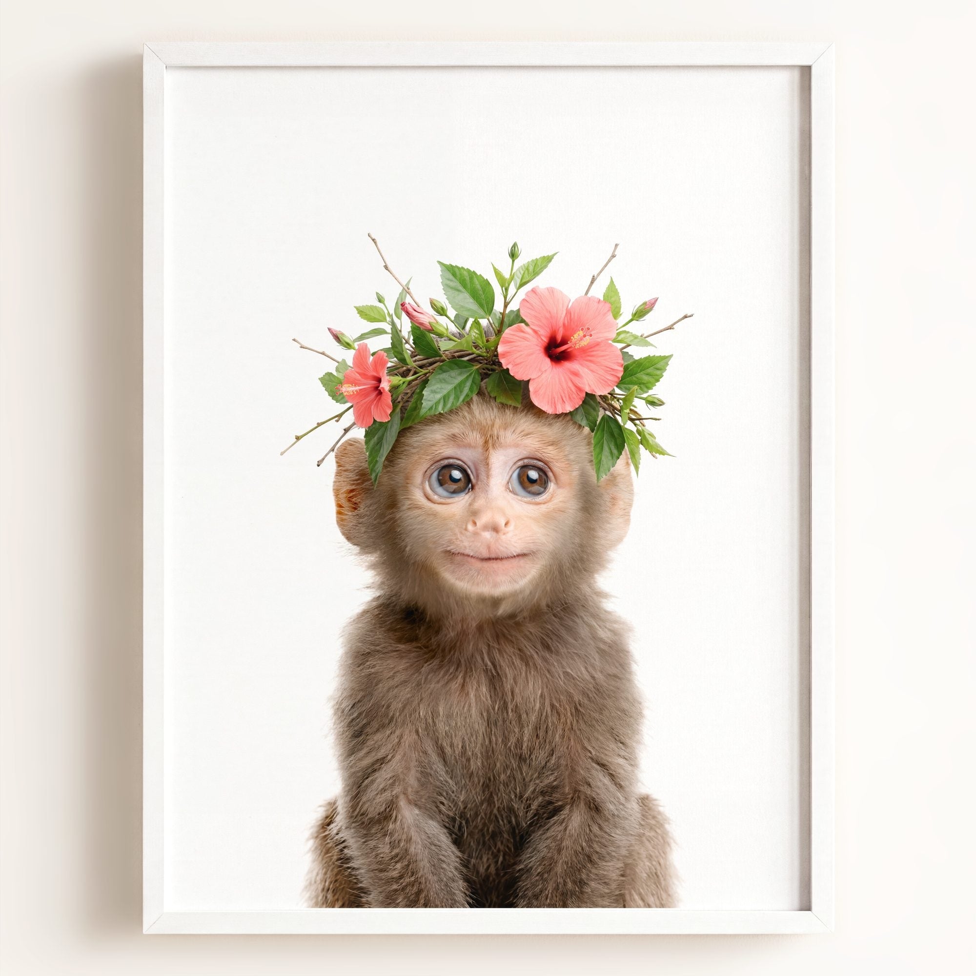 Baby Monkey