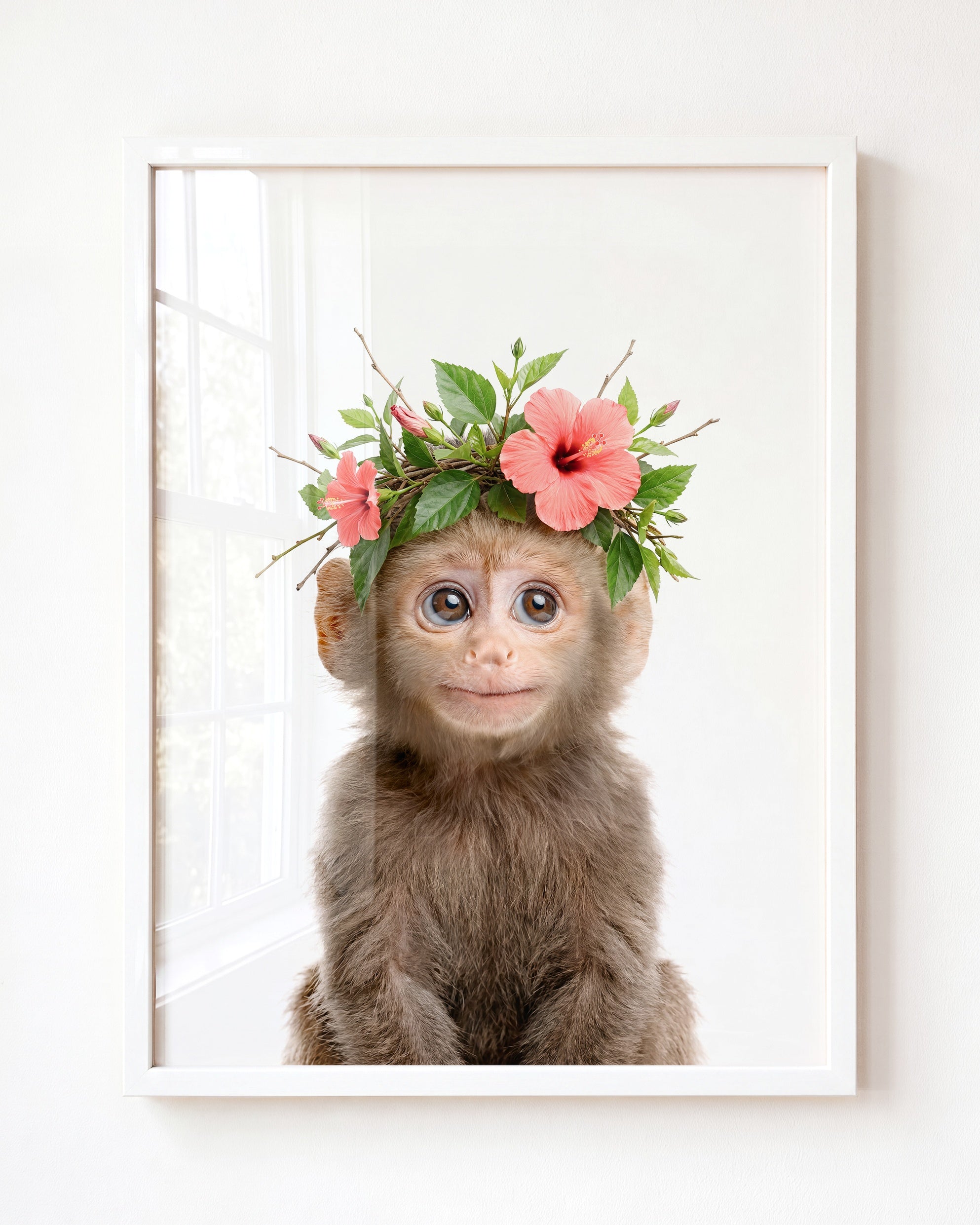 Baby Monkey