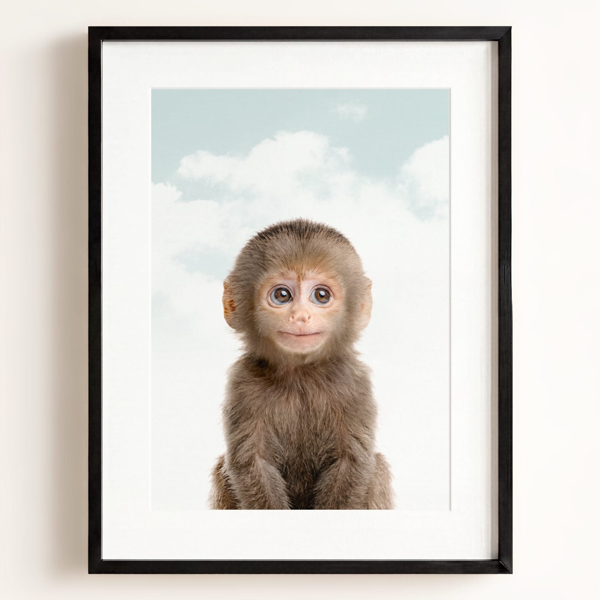 Baby Monkey