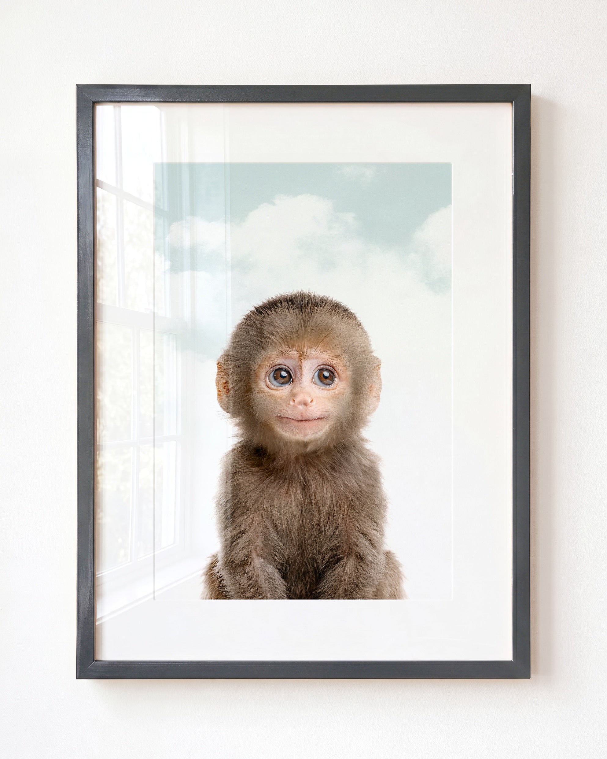 Baby Monkey