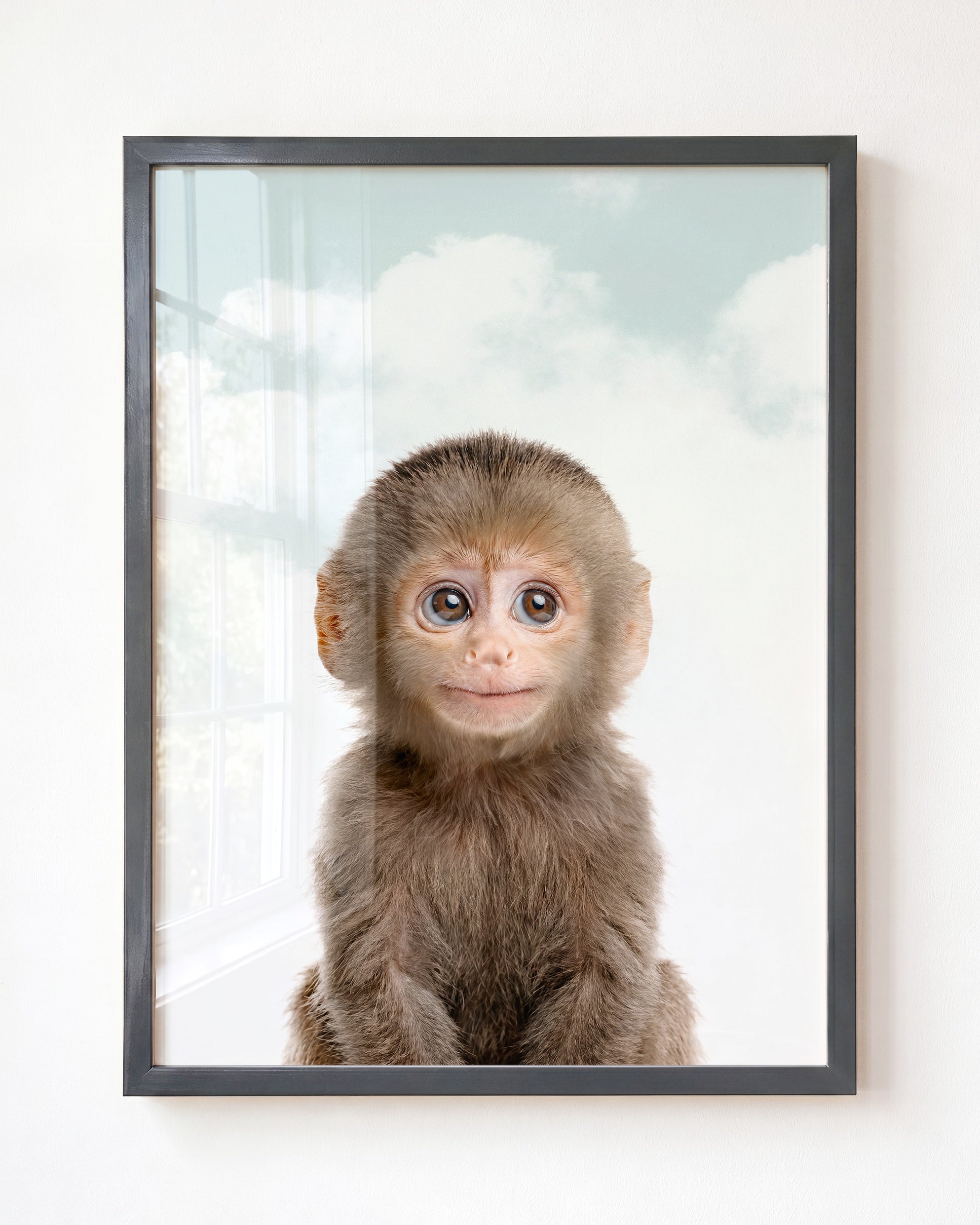 Baby Monkey