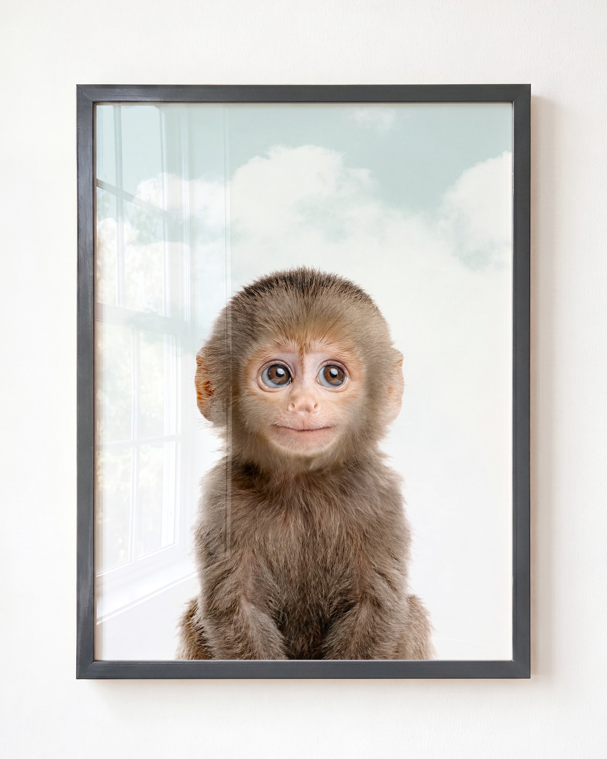 Baby Monkey