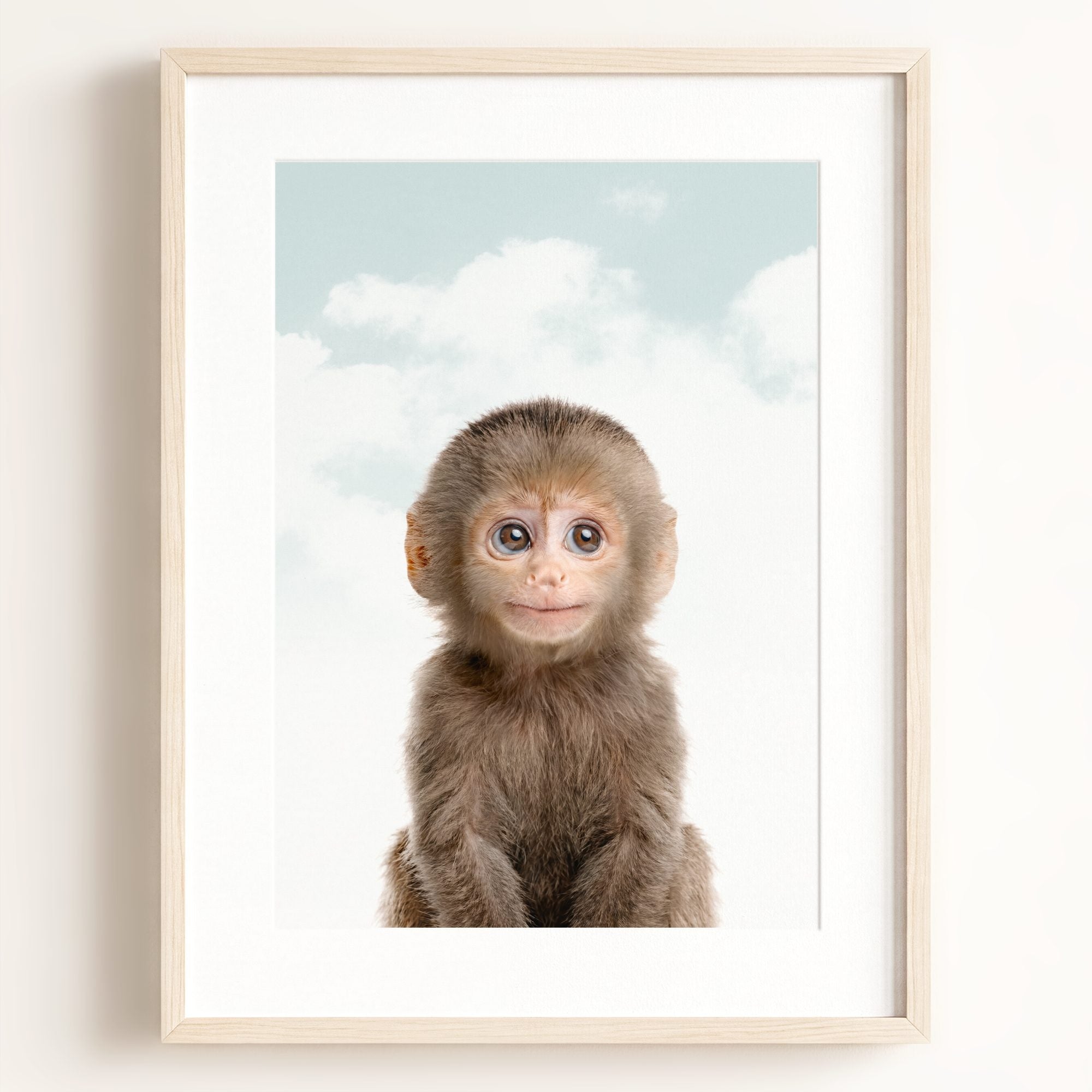 Baby Monkey