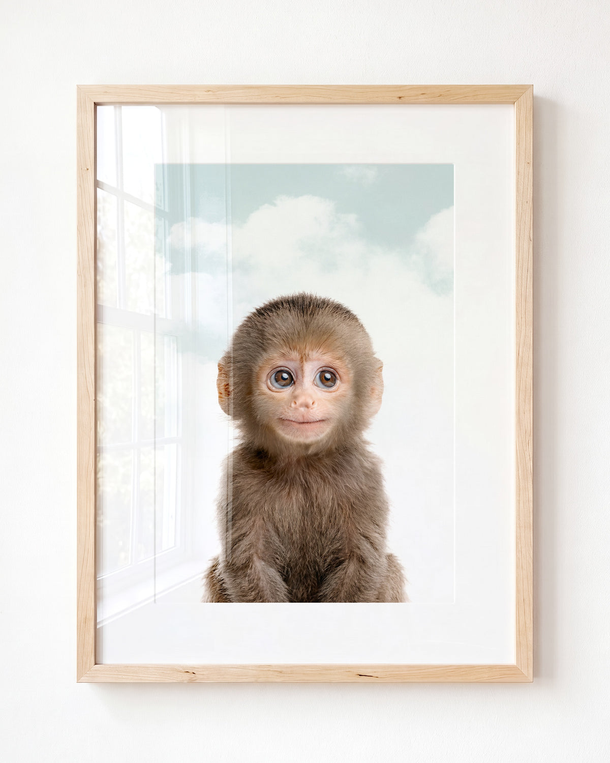 Baby Monkey