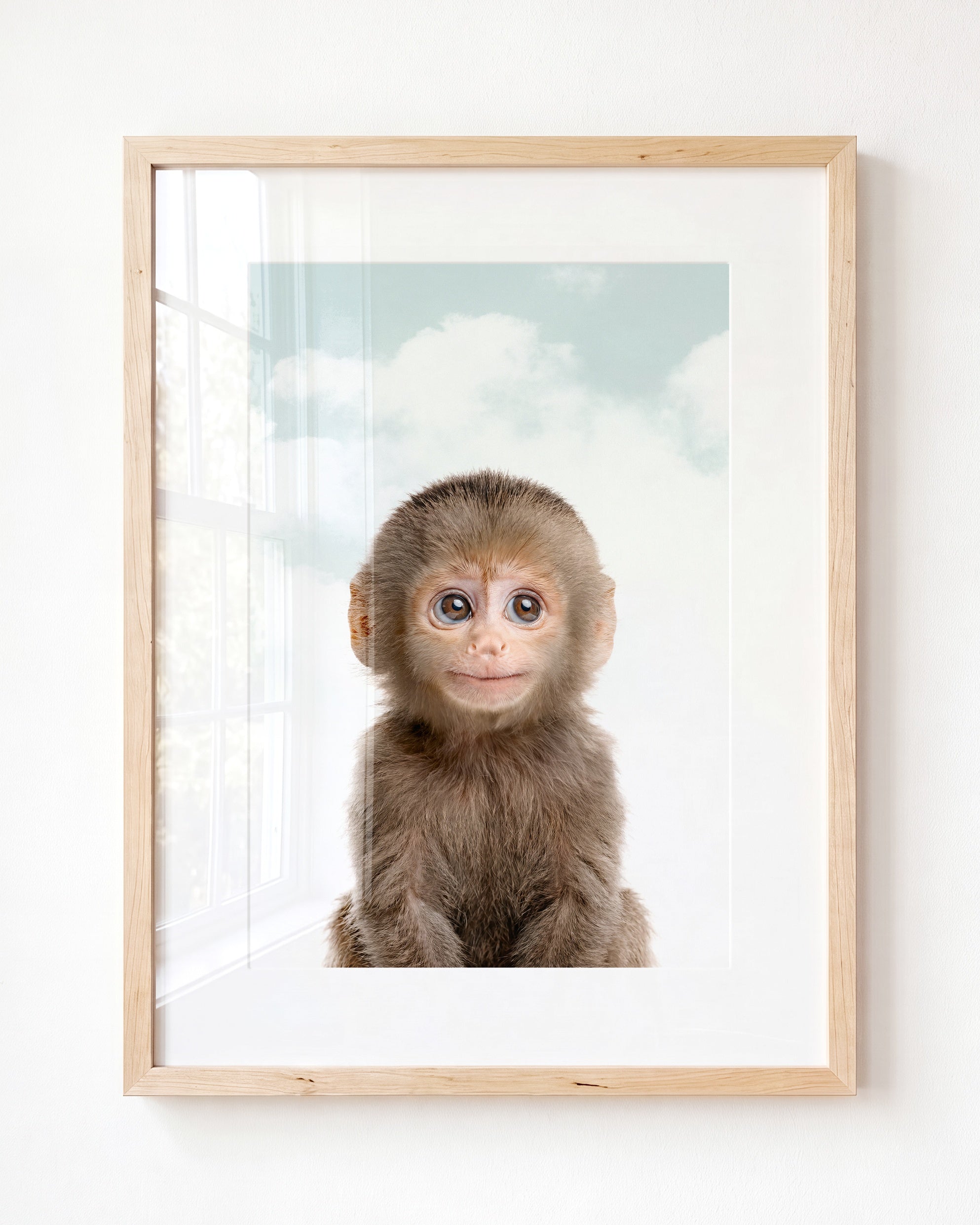 Baby Monkey