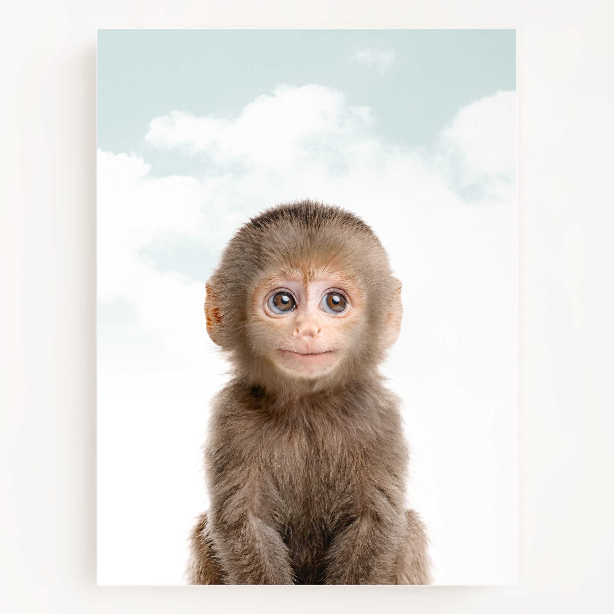 Baby Monkey