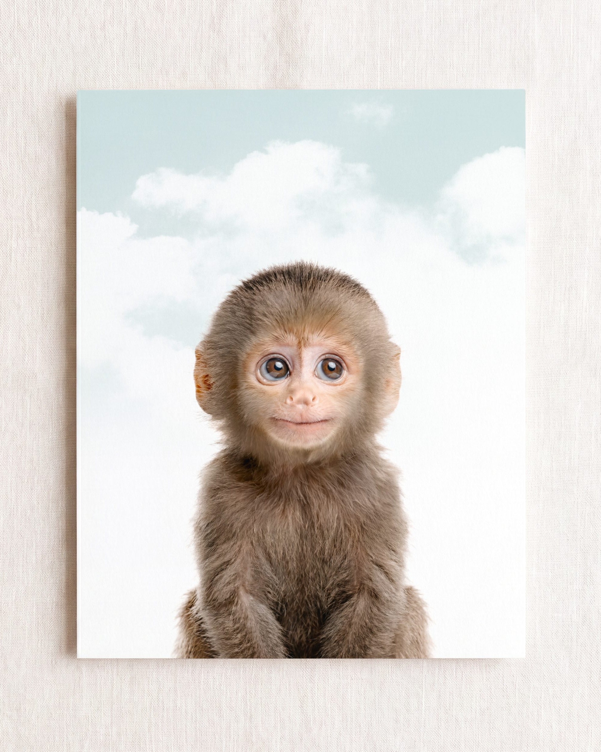 Baby Monkey