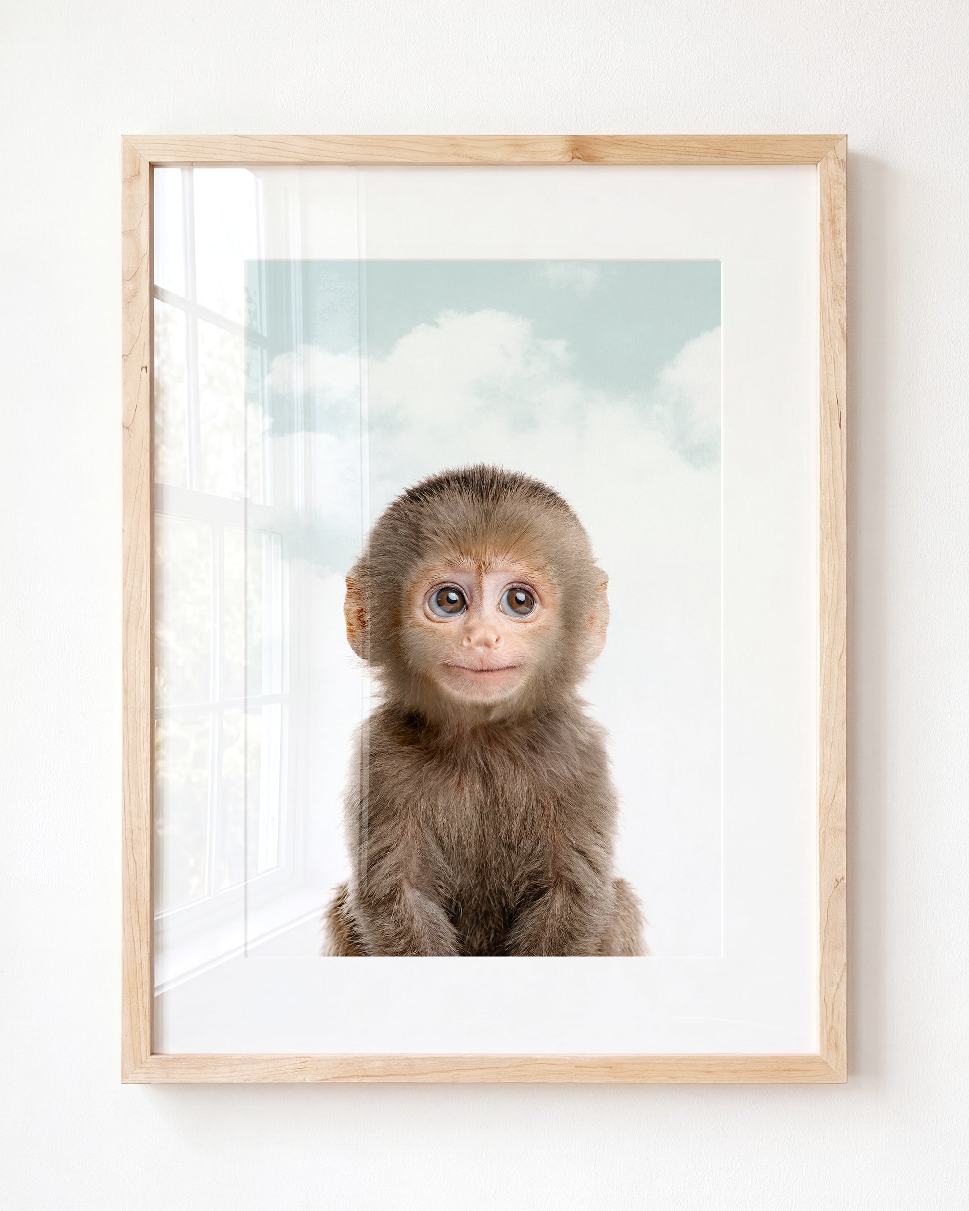 Baby Monkey