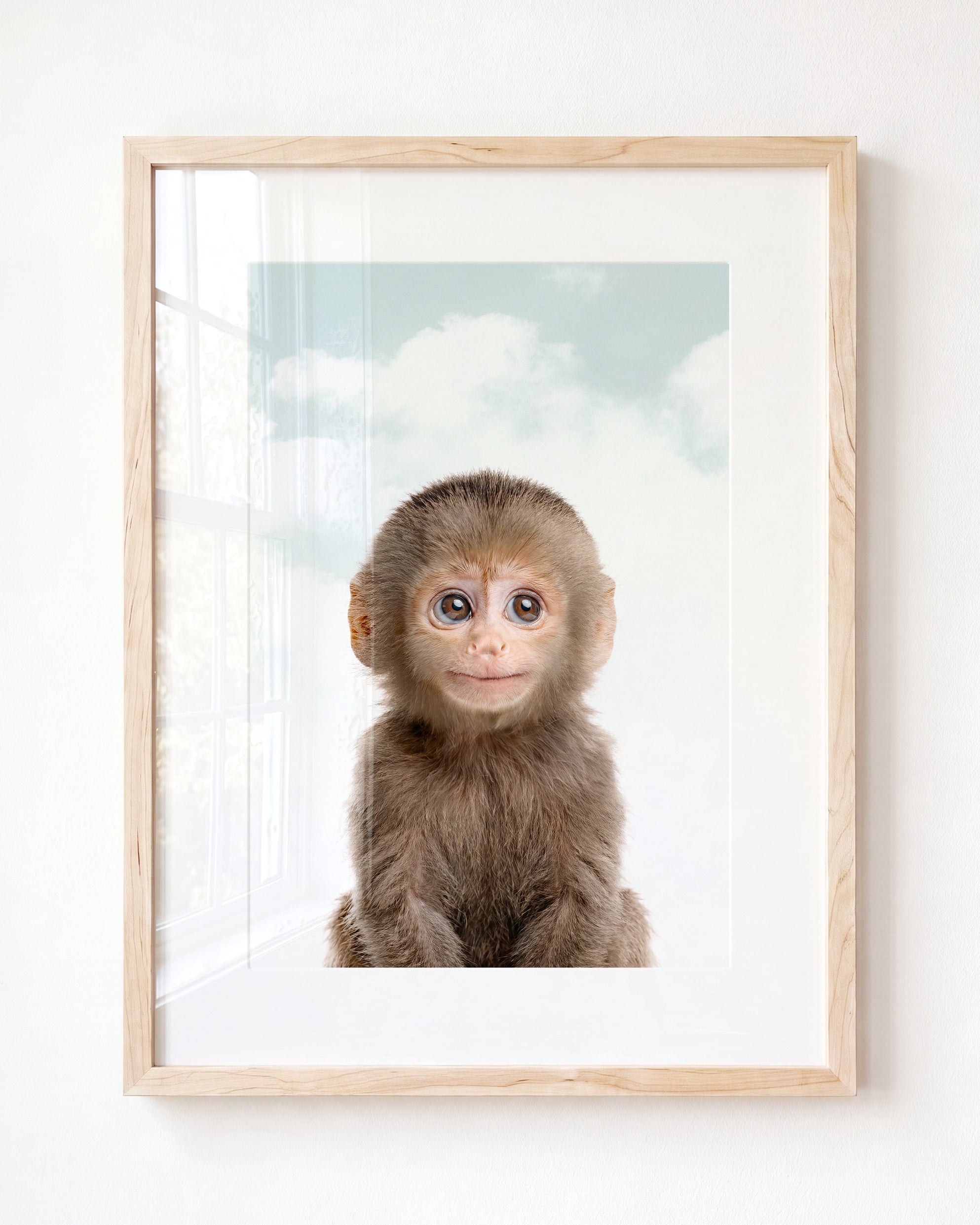 Baby Monkey