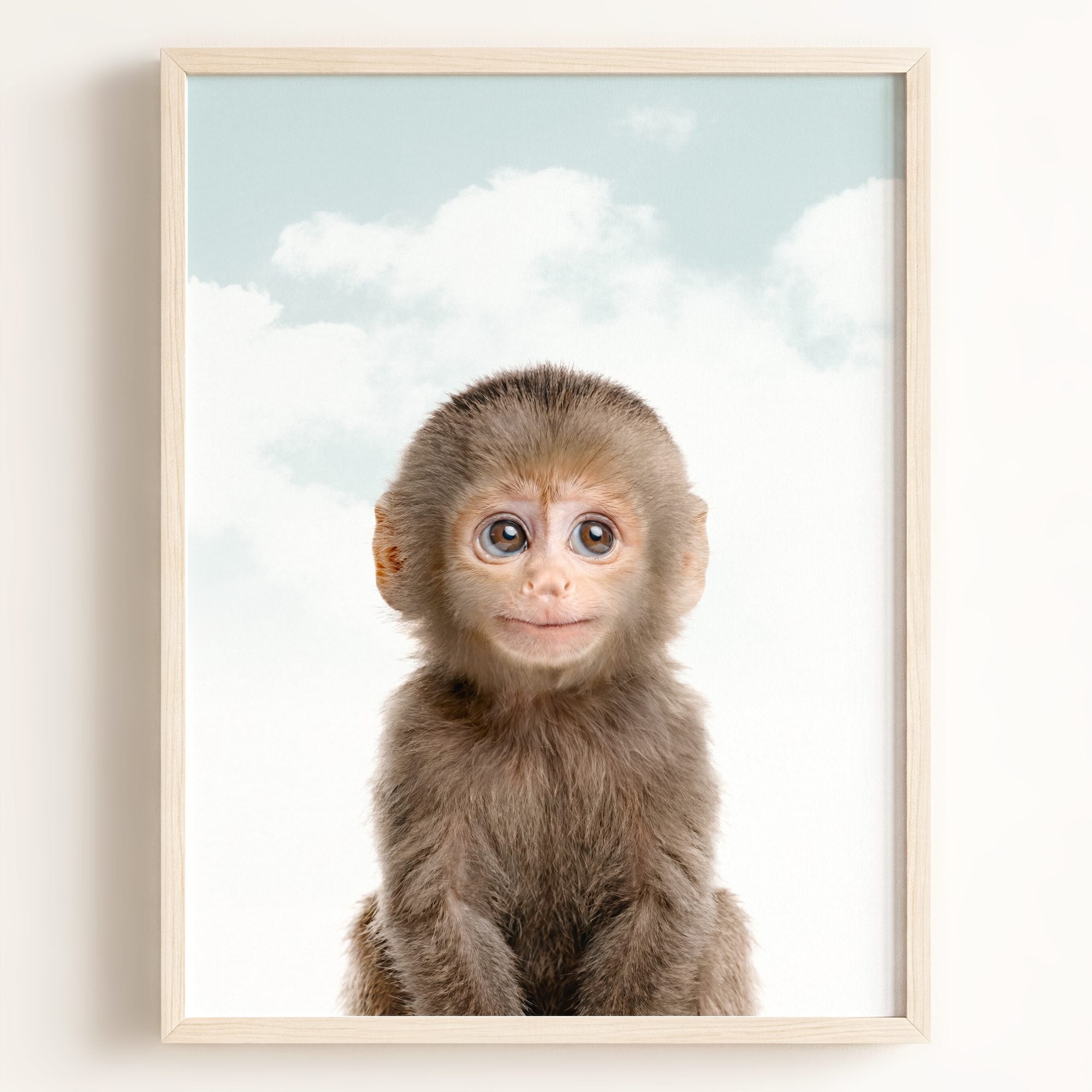 Baby Monkey