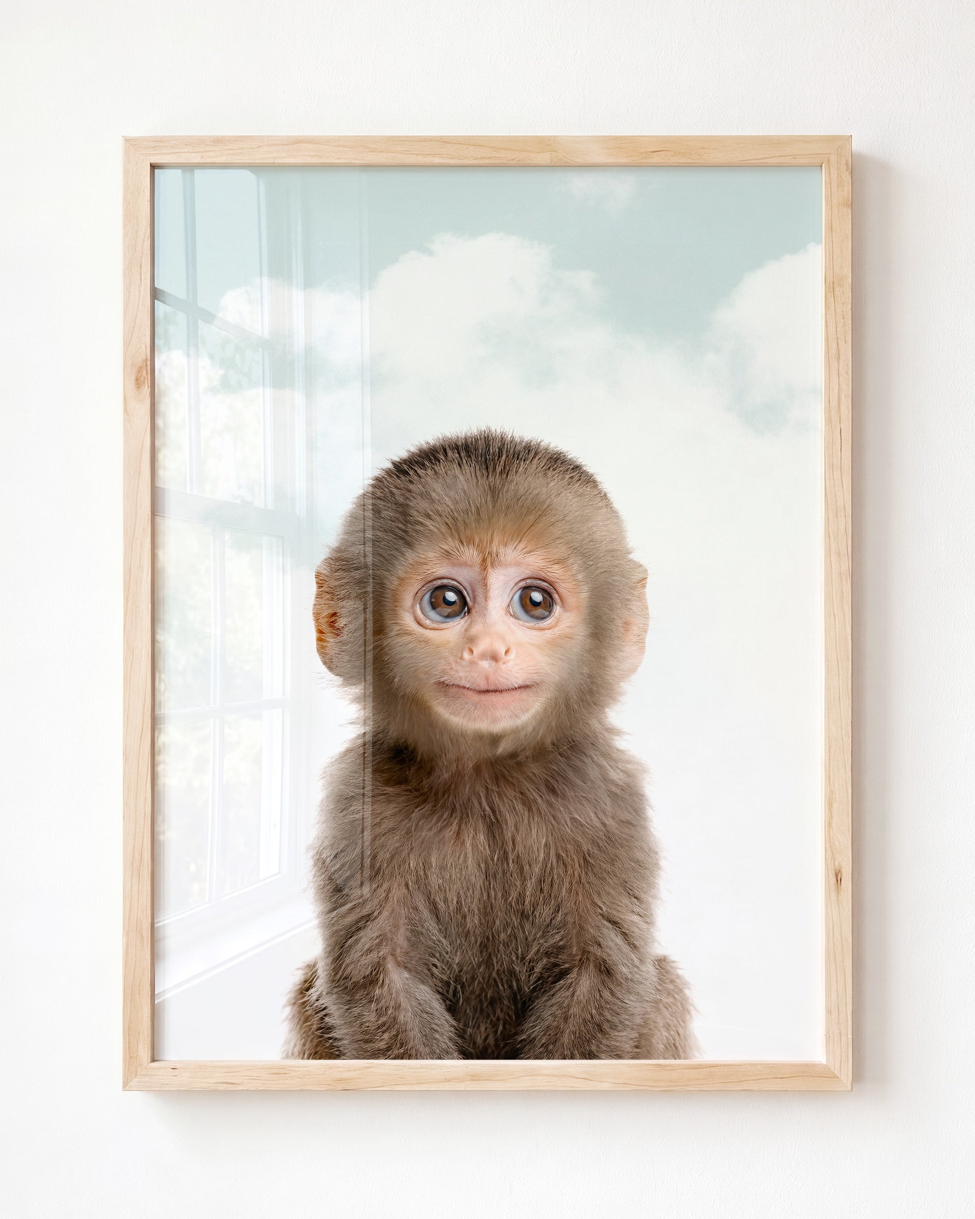 Baby Monkey