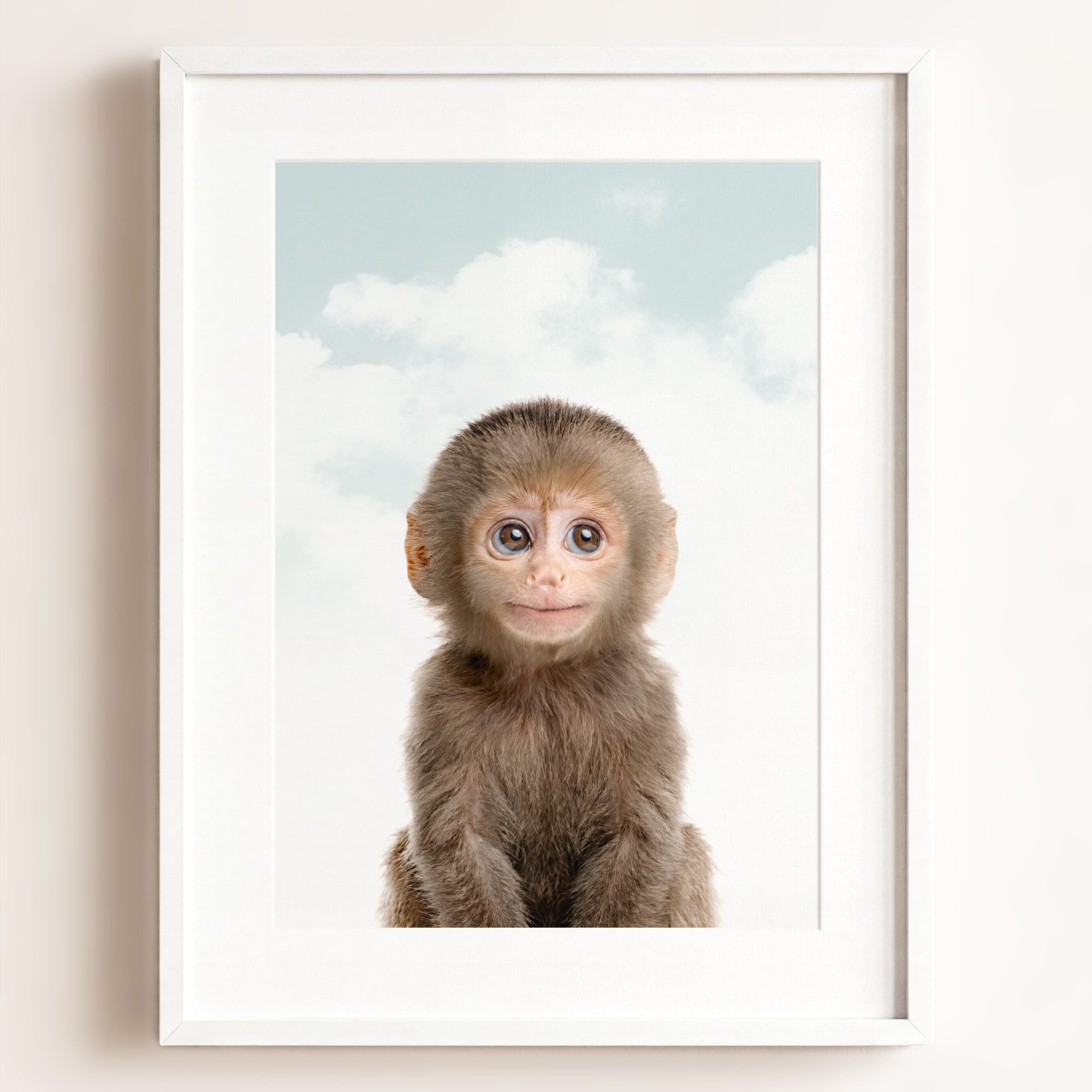 Baby Monkey