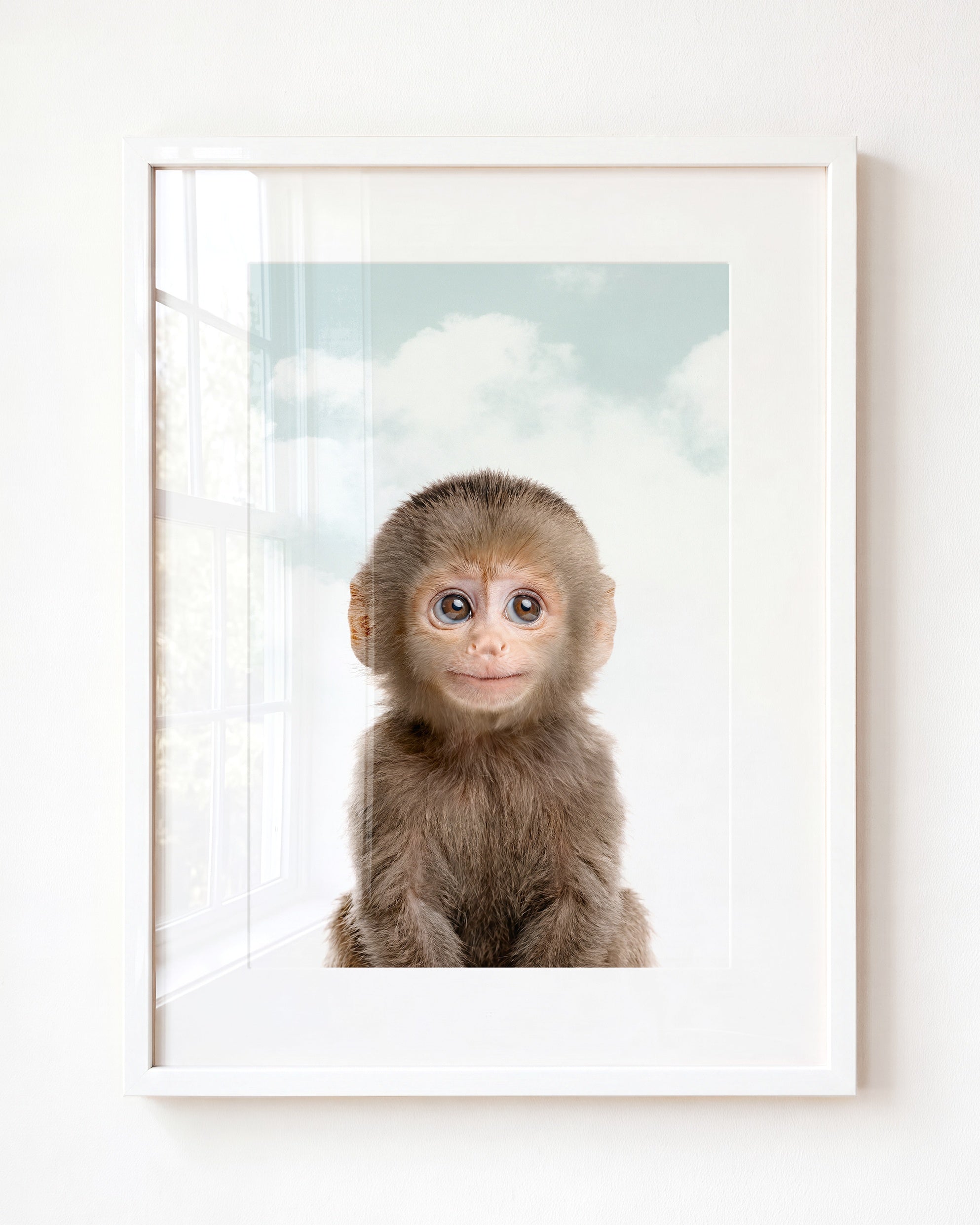 Baby Monkey