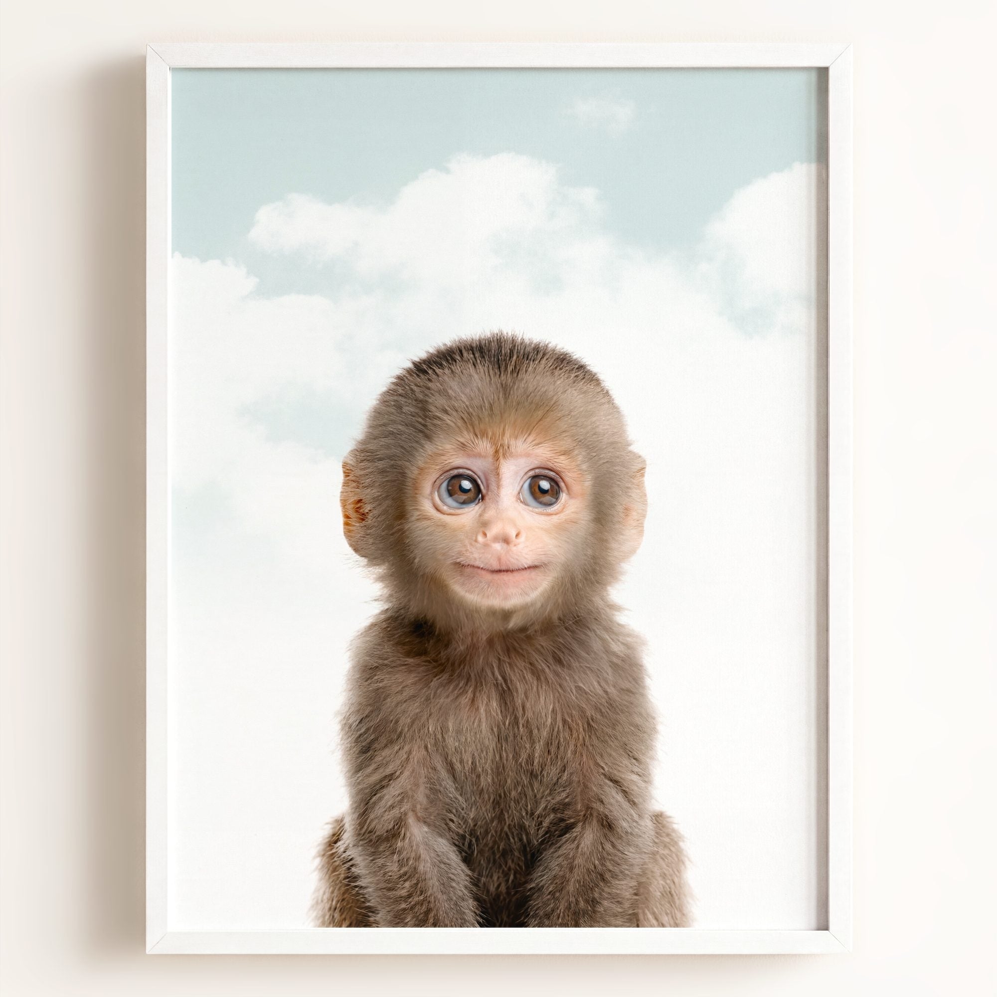 Baby Monkey