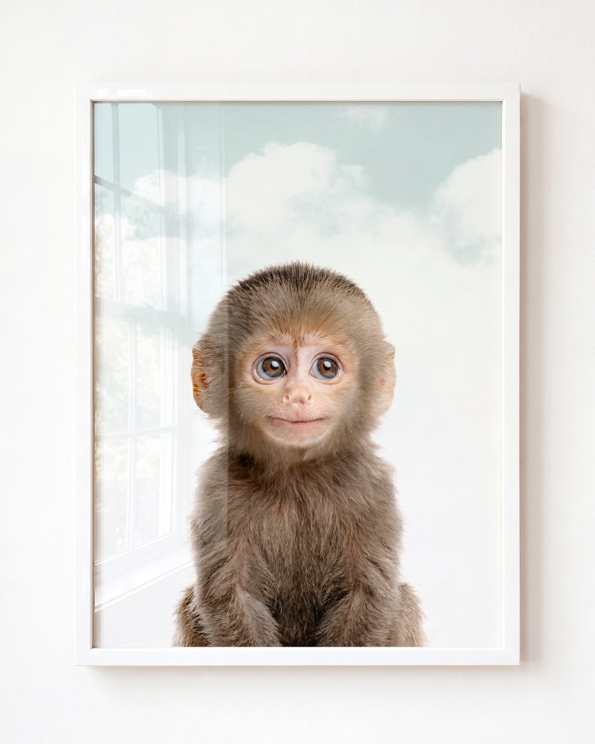 Baby Monkey