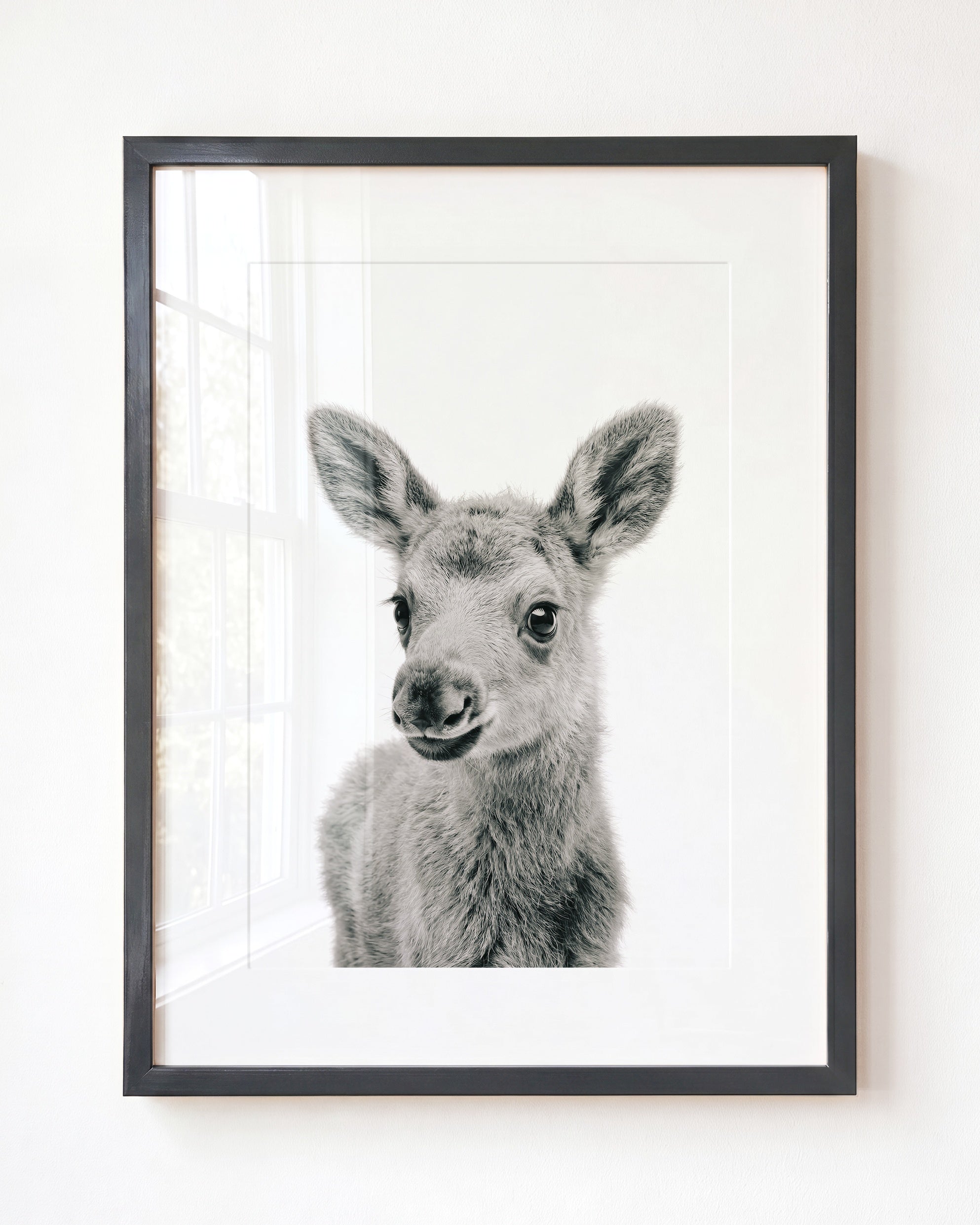 Baby Moose