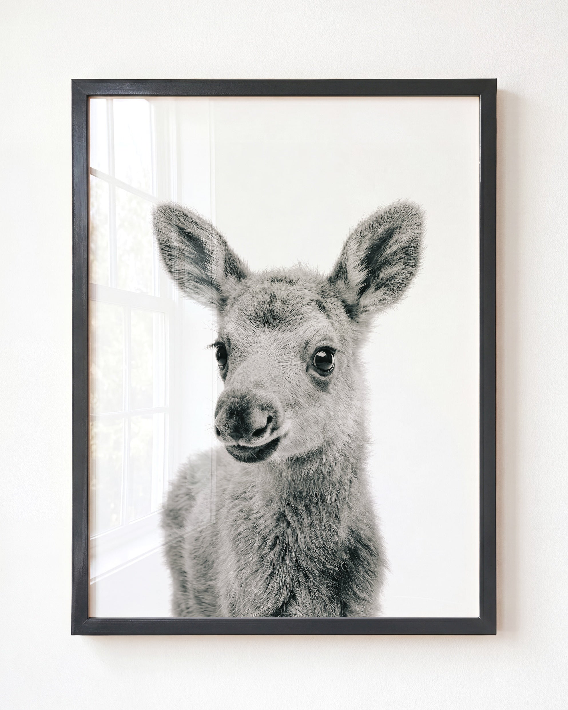 Baby Moose