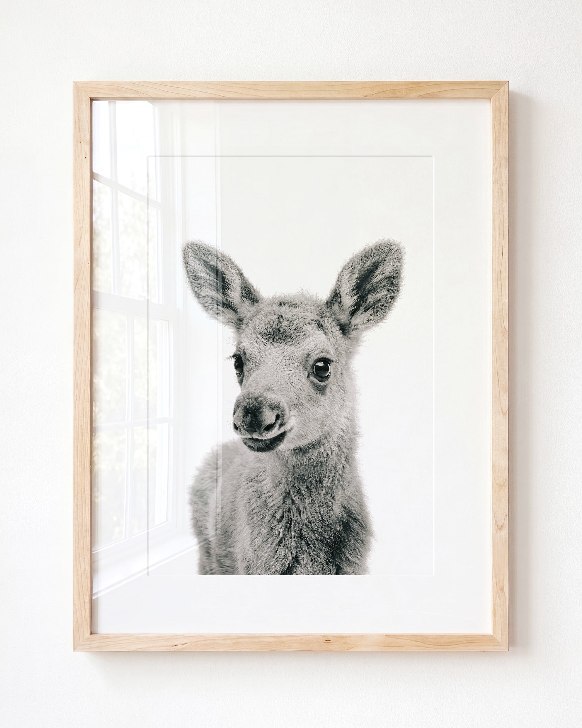Baby Moose
