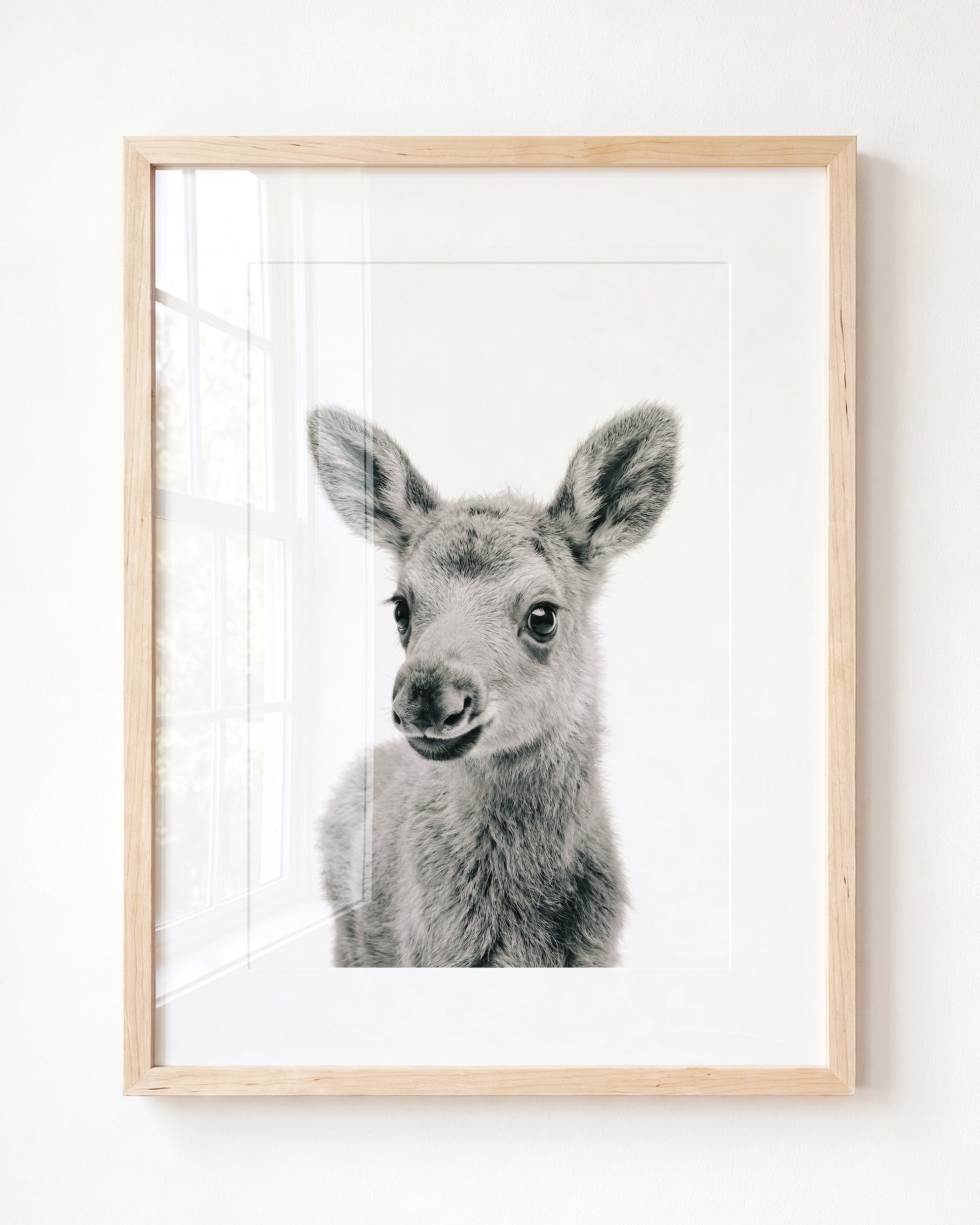 Baby Moose