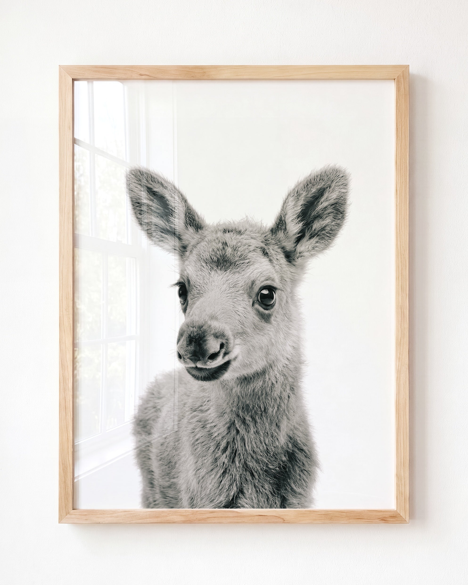 Baby Moose