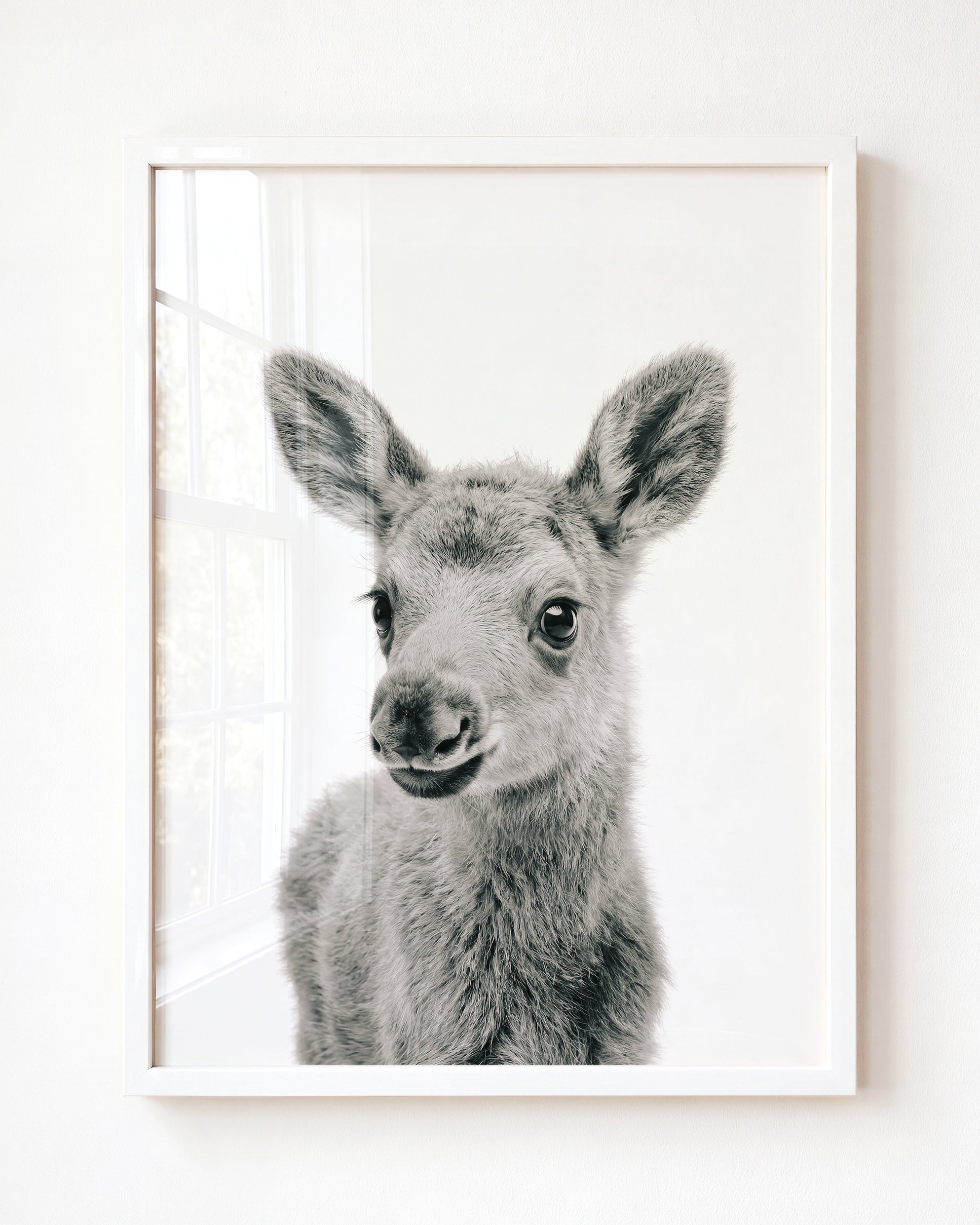 Baby Moose
