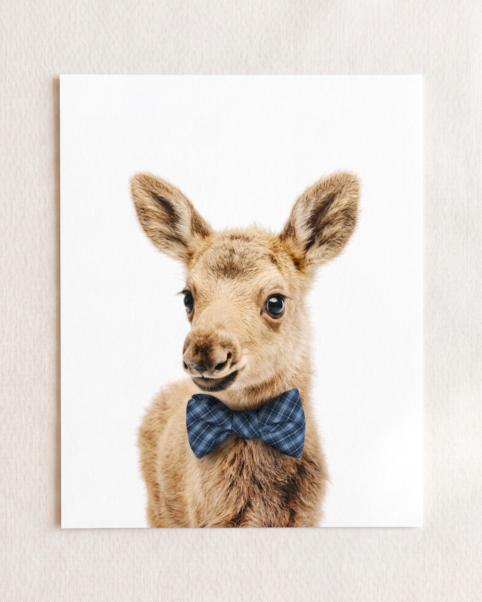 Baby Moose