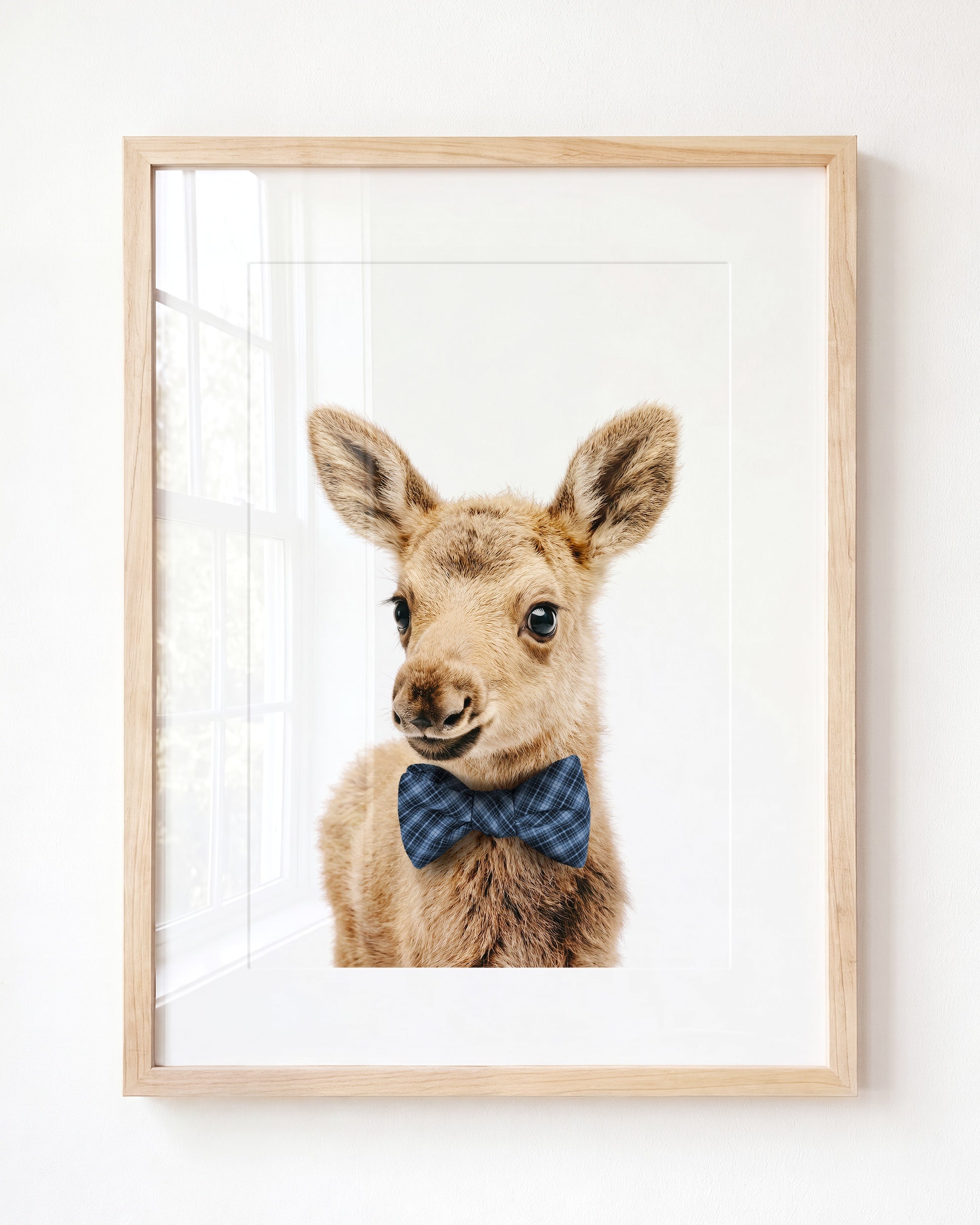 Baby Moose