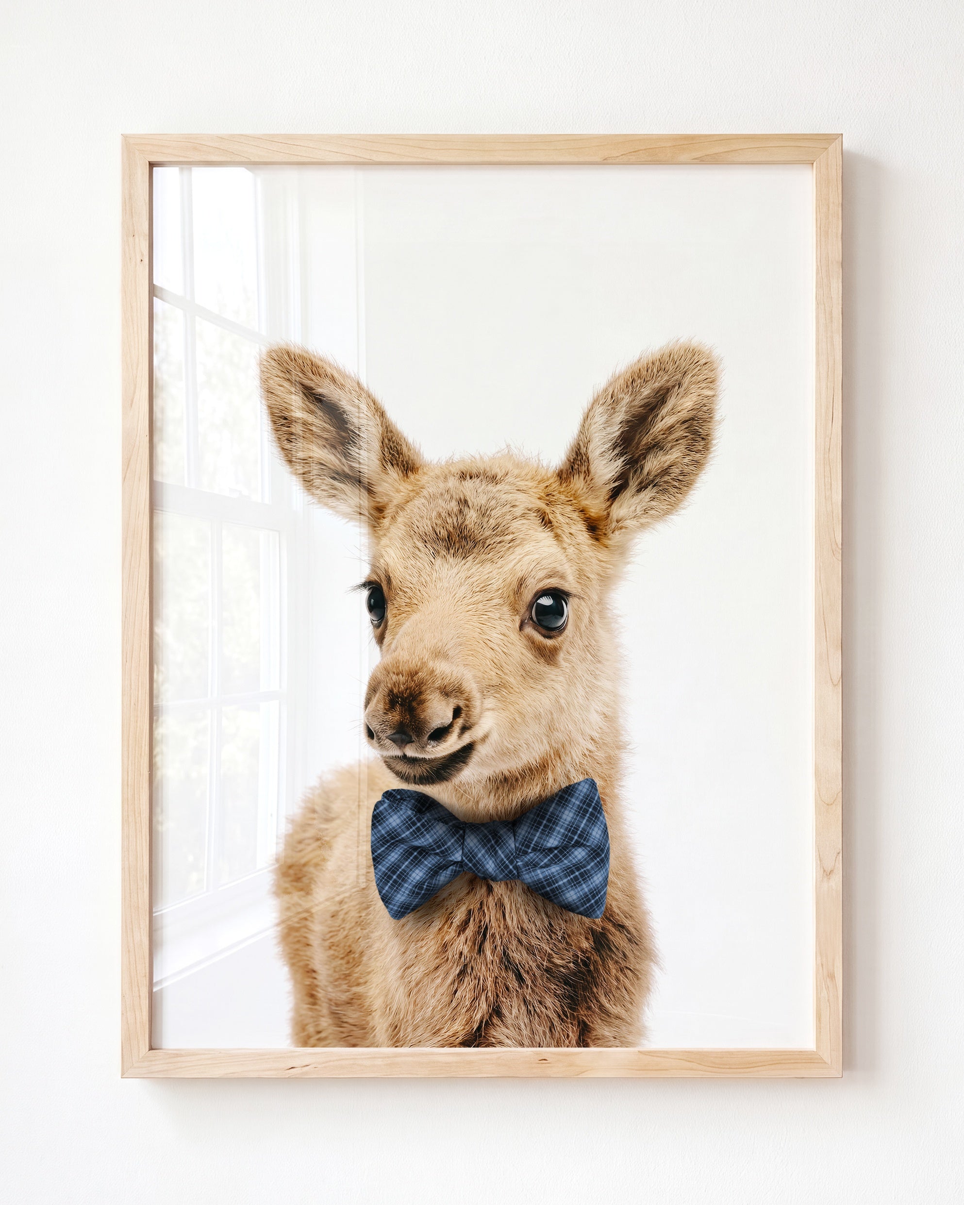 Baby Moose