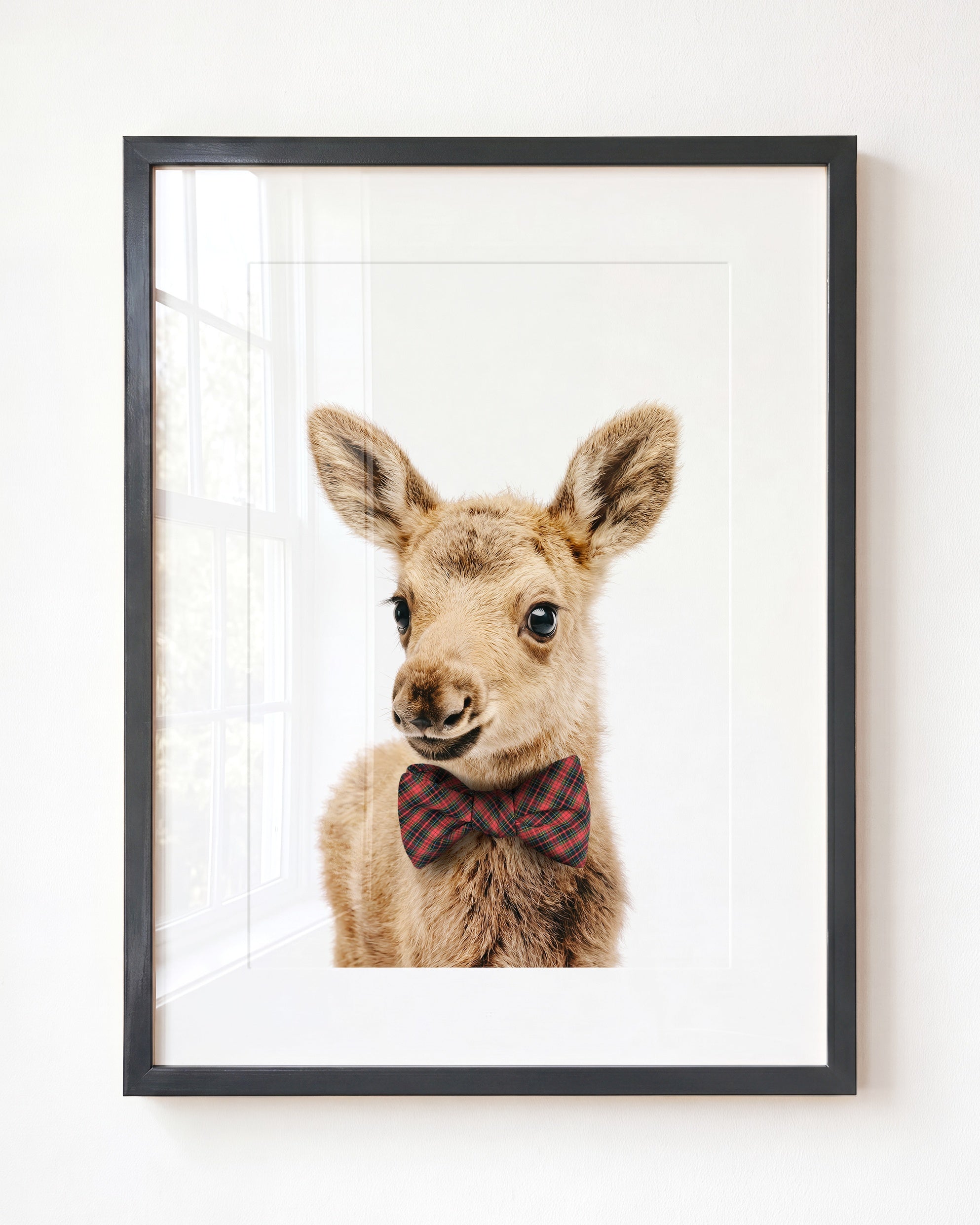 Baby Moose