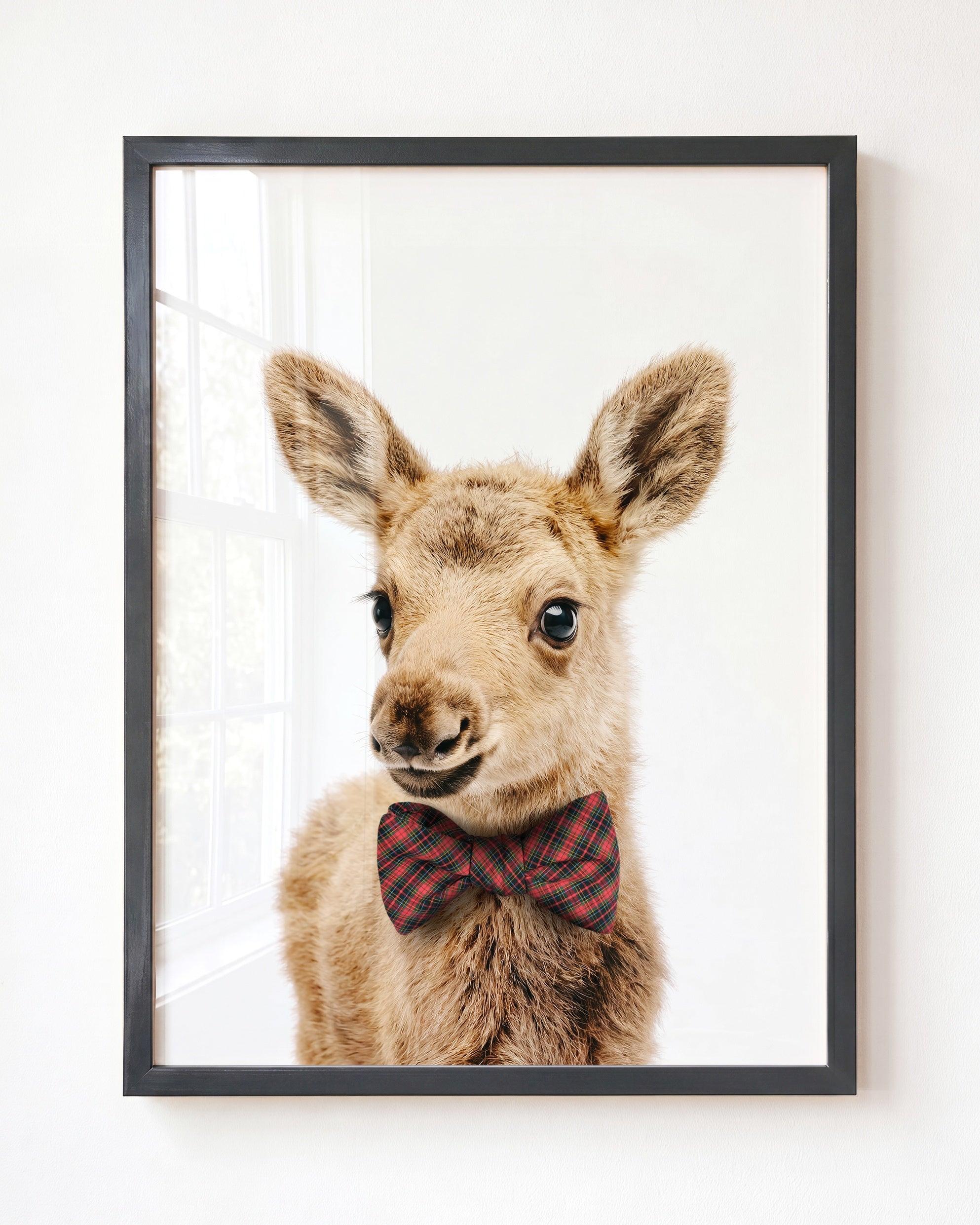 Baby Moose