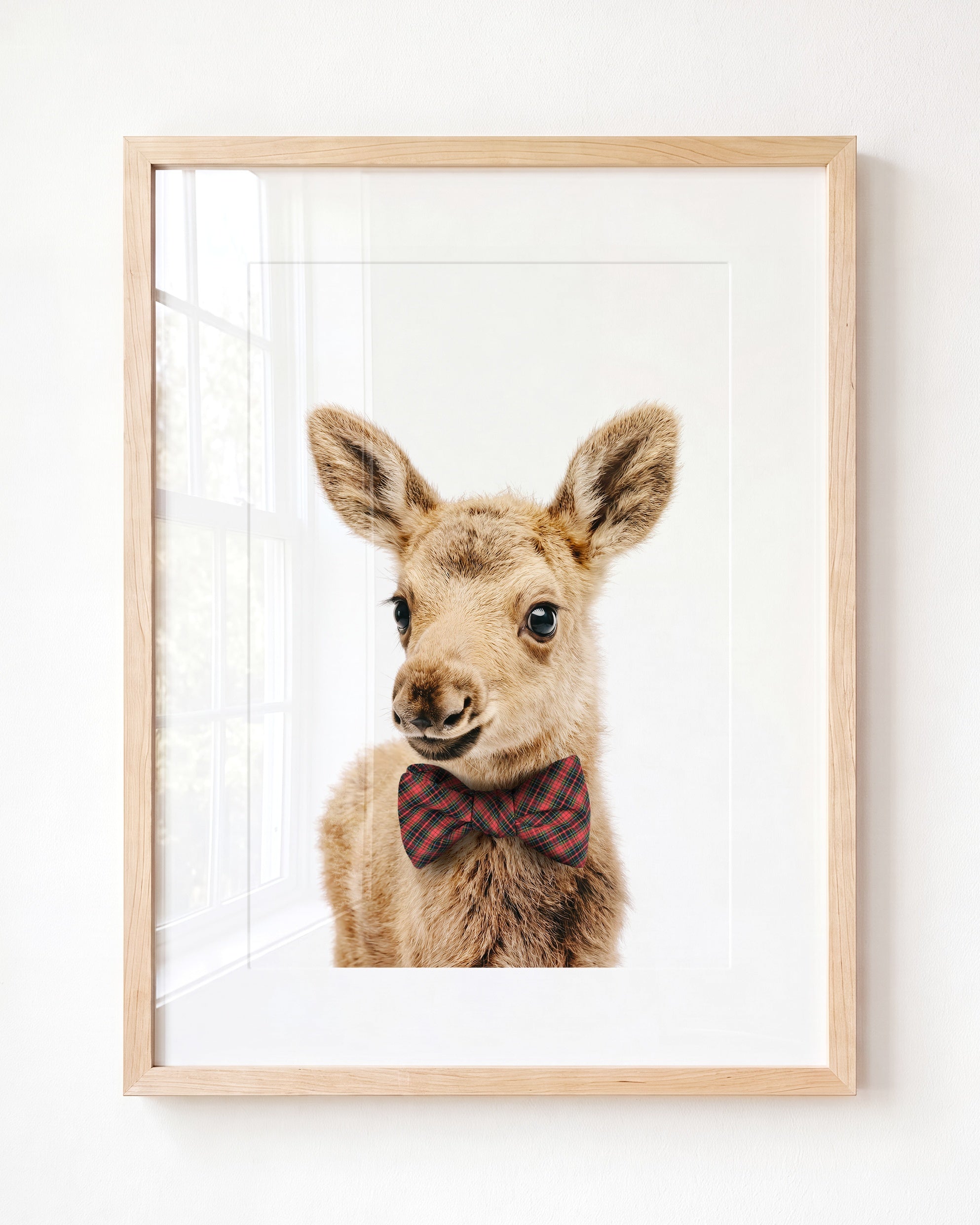 Baby Moose