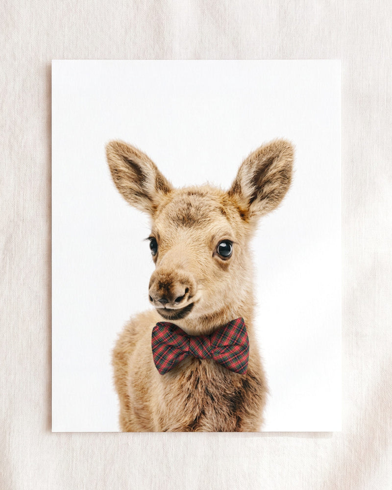 Bow Tie