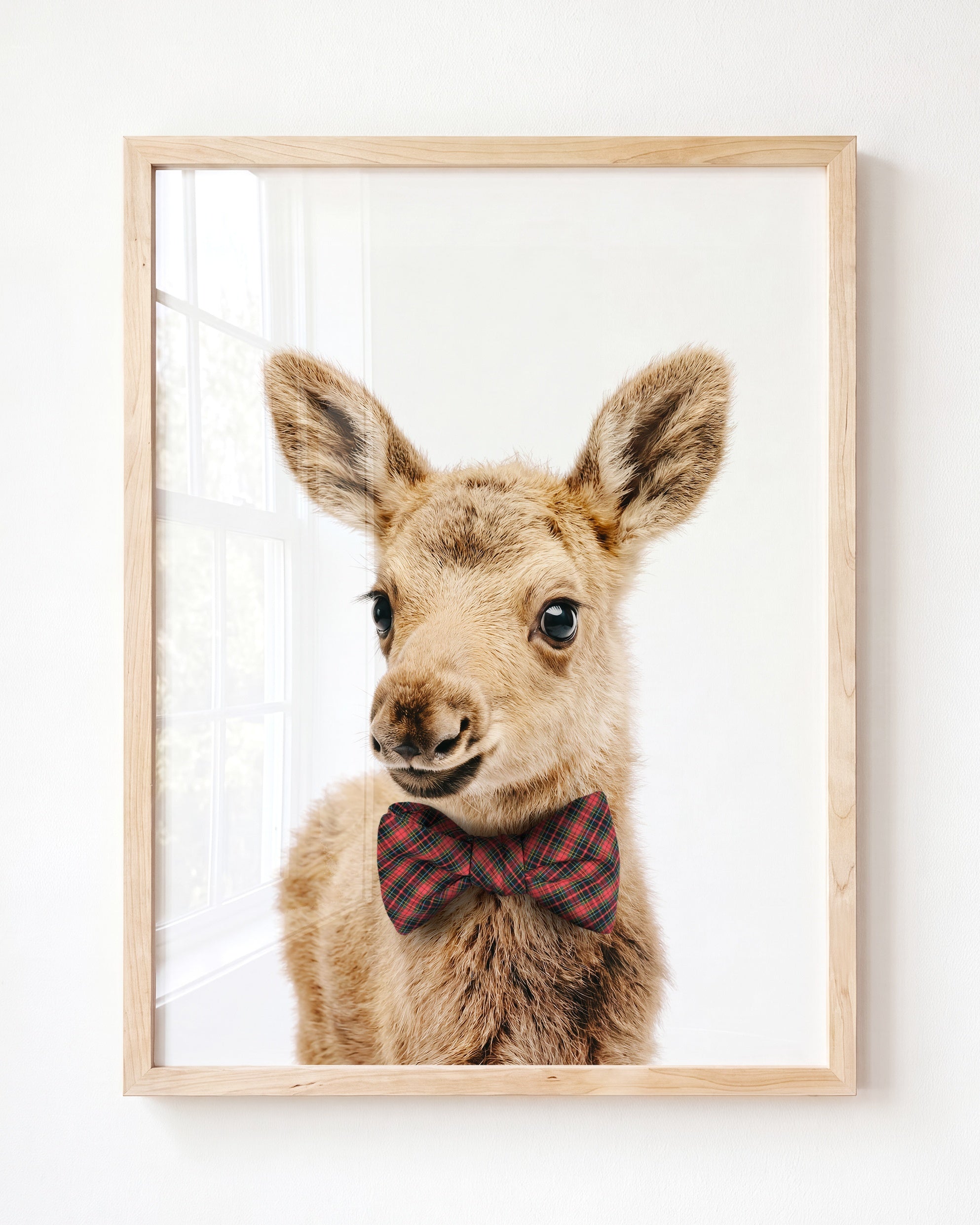 Baby Moose