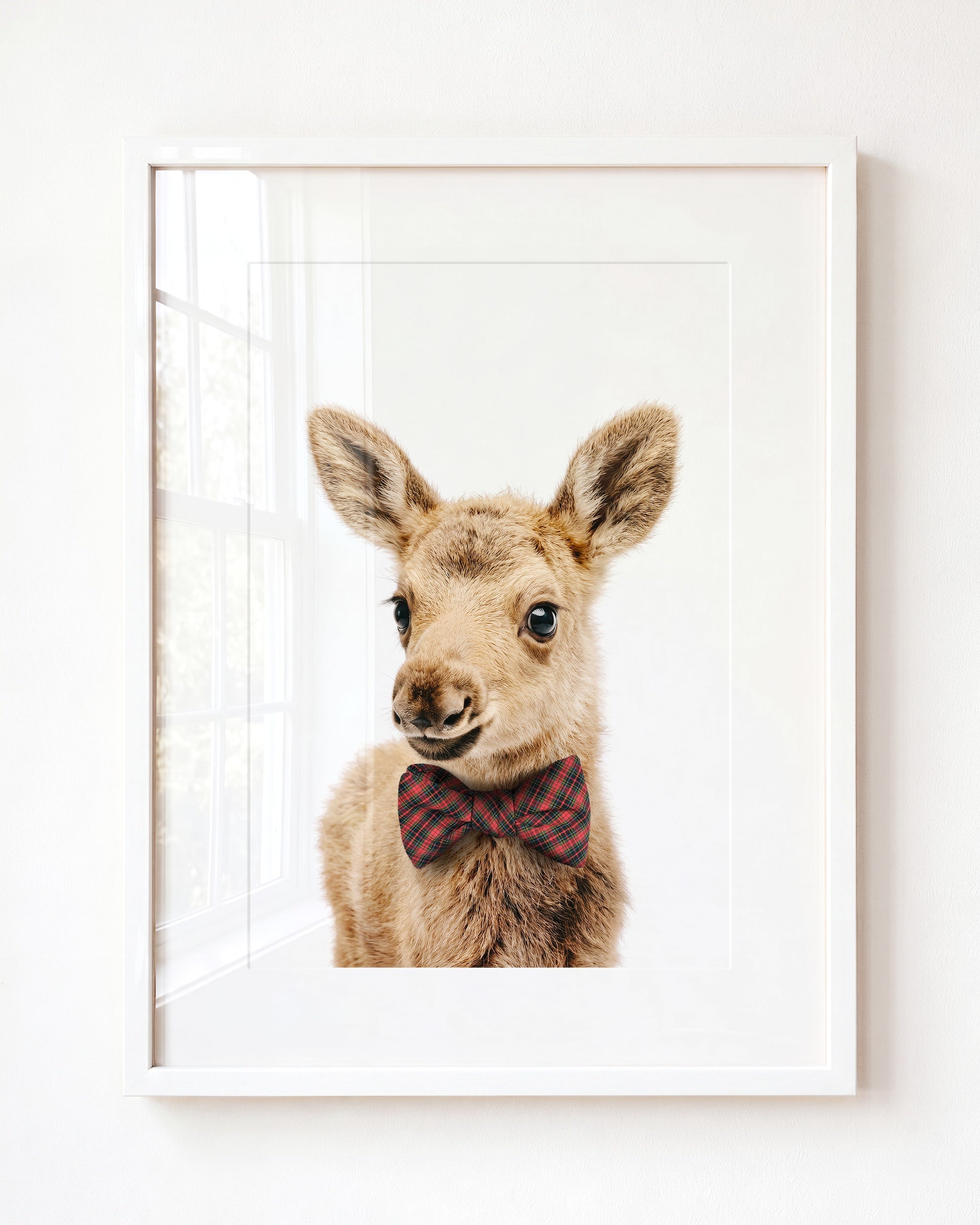 Baby Moose
