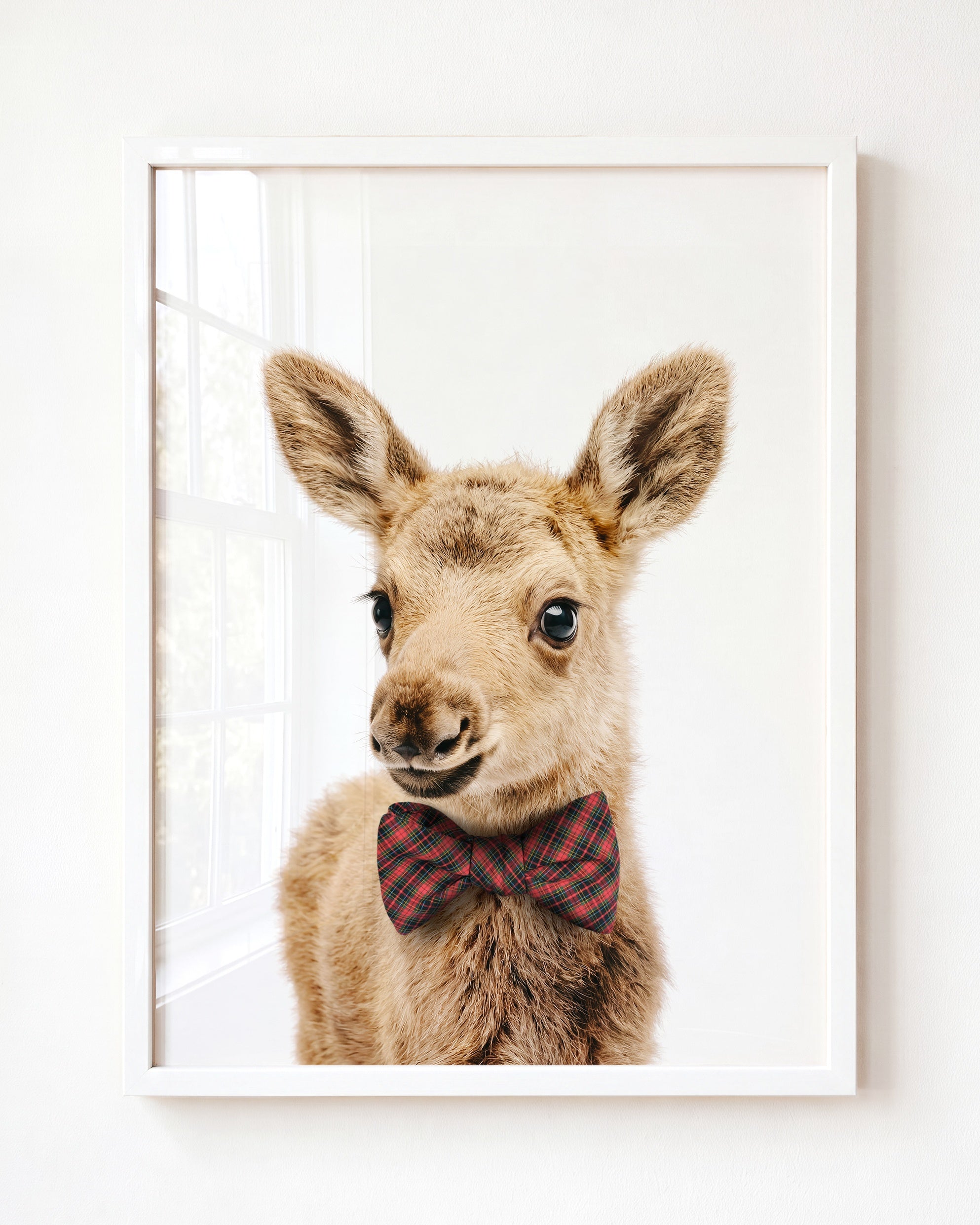 Baby Moose