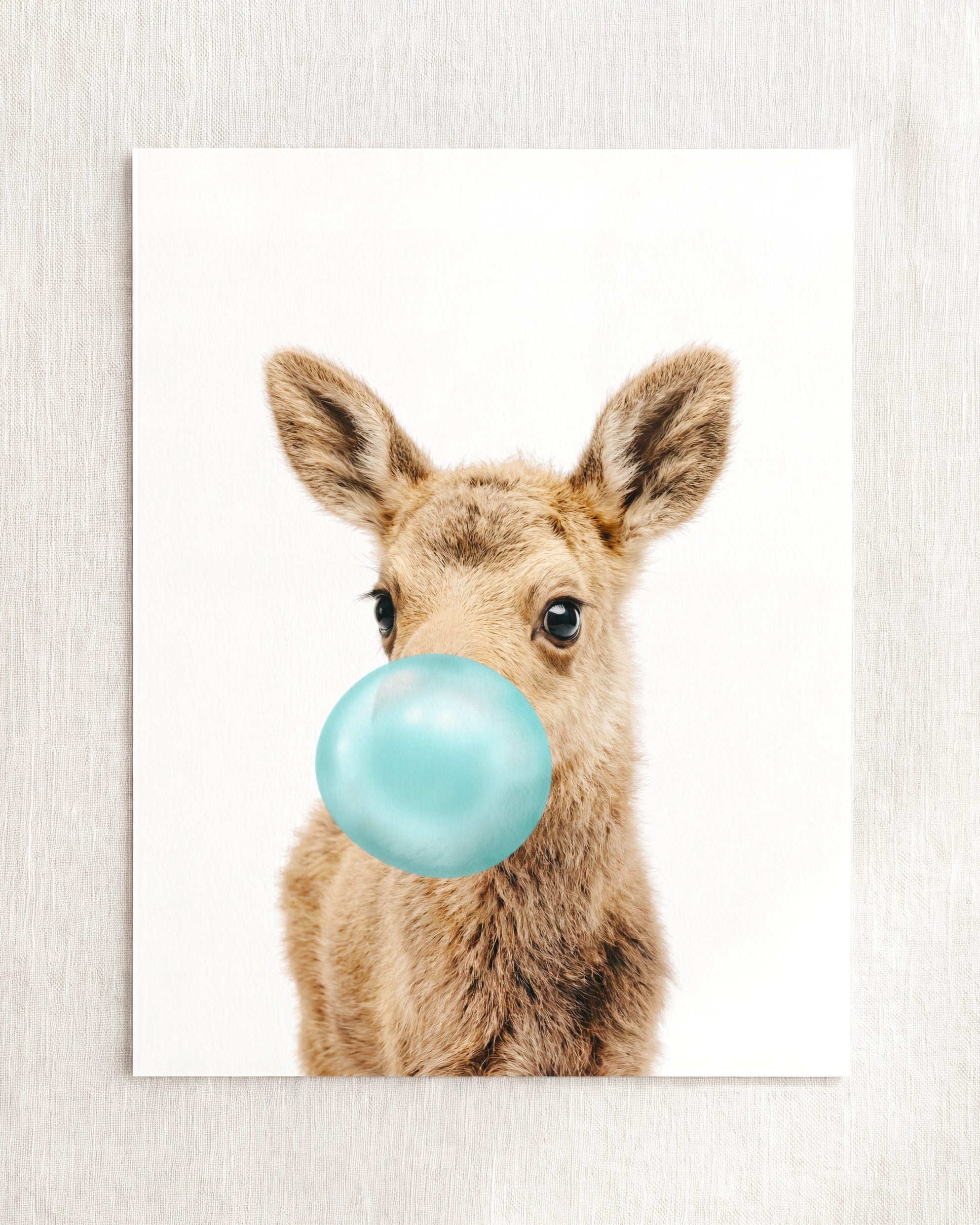 Baby Moose